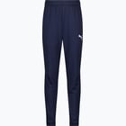 färgalternativ för Blå Puma teamGOAL PRO Training Pants Jr 