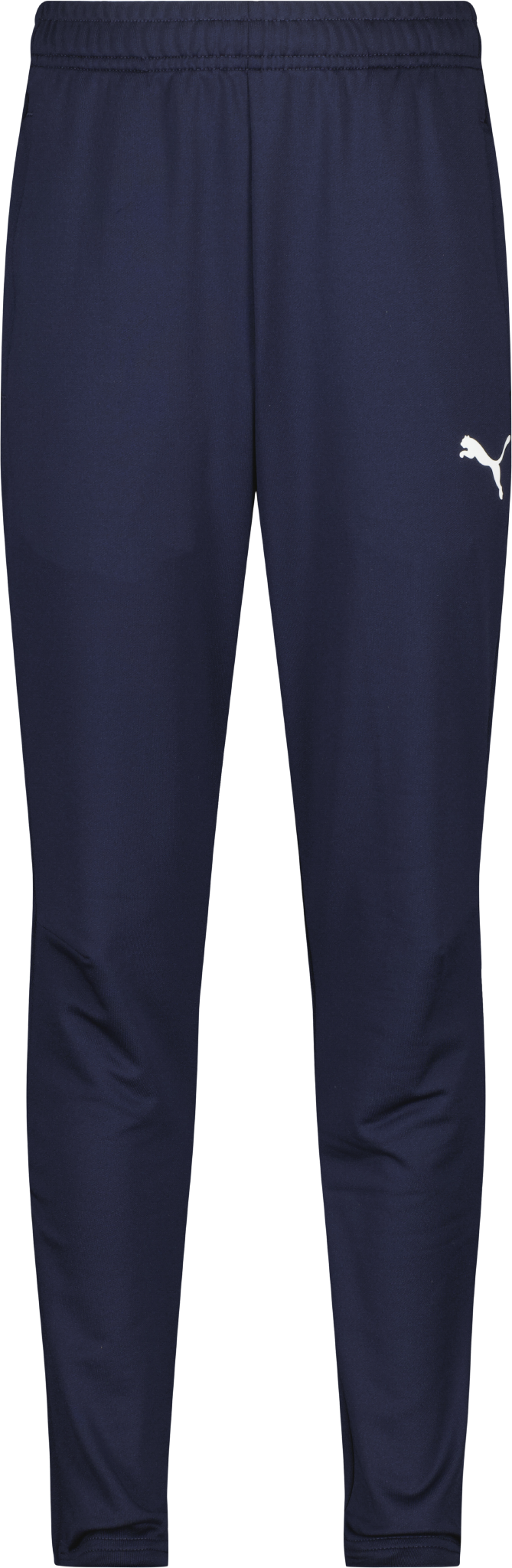 Puma teamGOAL PRO Training Pants Jr 