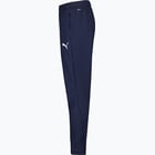 förhandsvisning ikon 3 för Puma teamGOAL PRO Training Pants Jr  Blå