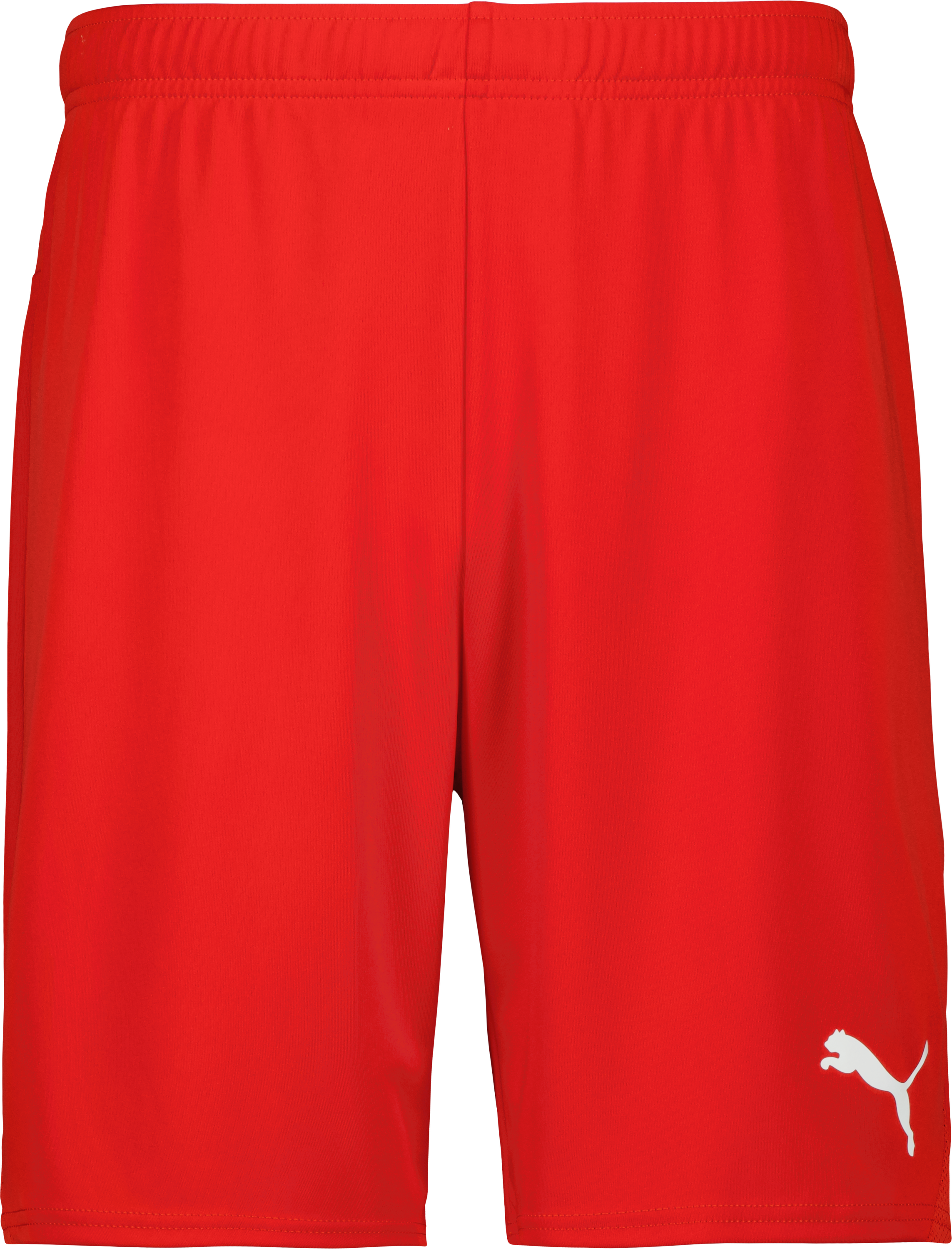 Puma teamGOAL Shorts 