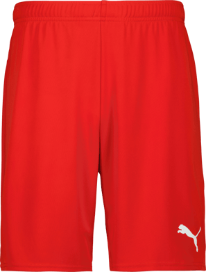 Puma teamGOAL Shorts 