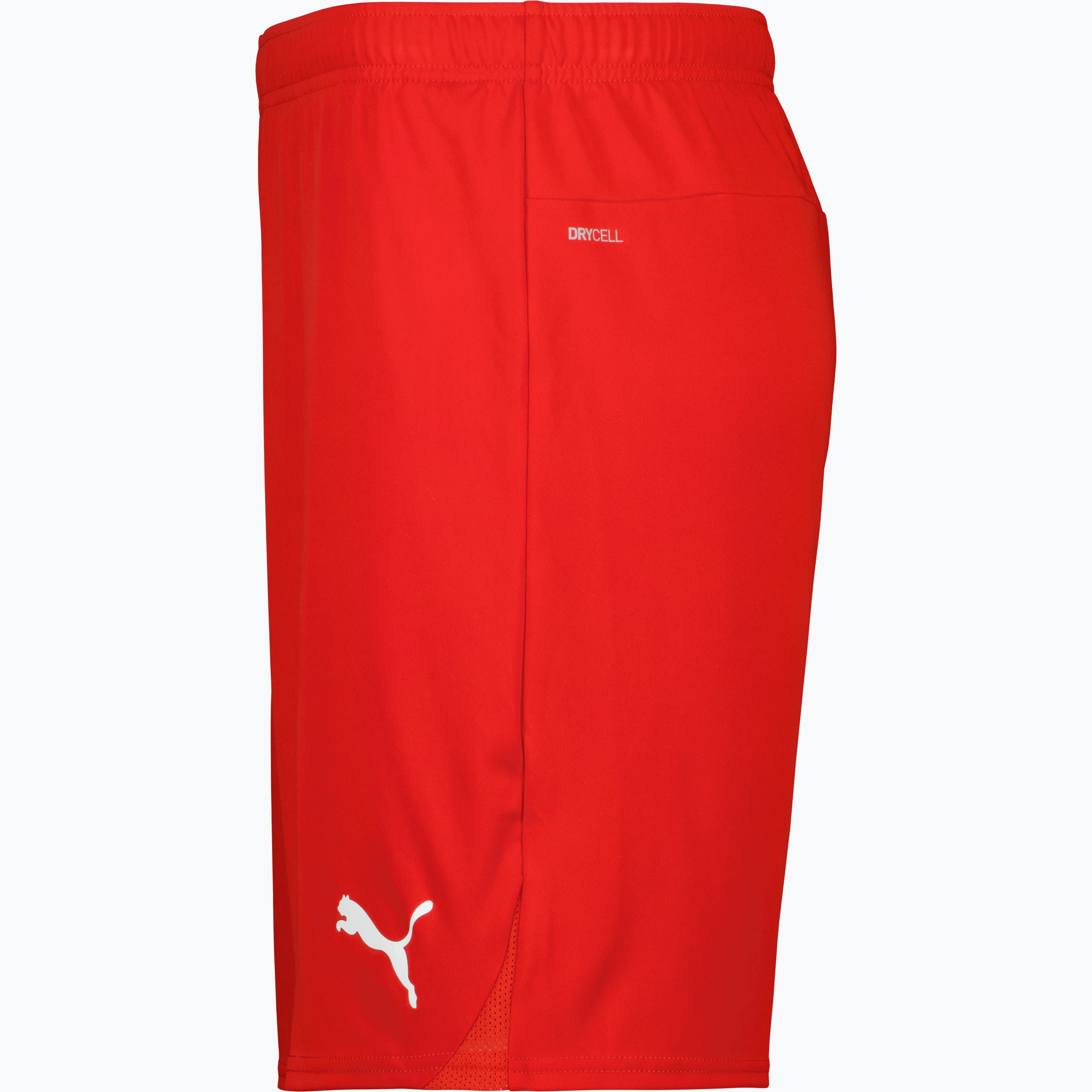 teamGOAL Shorts 