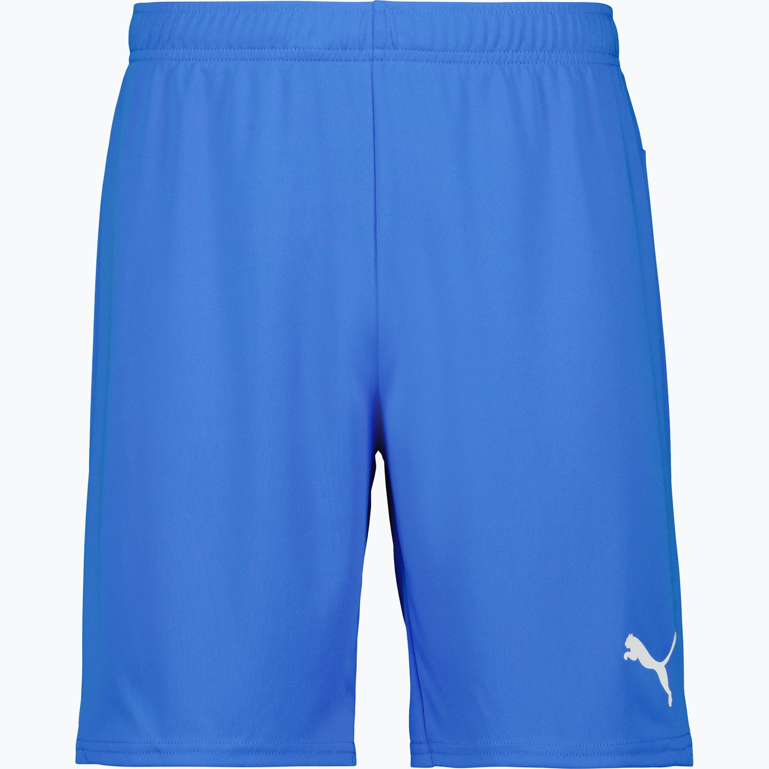 Puma teamGOAL Shorts  Svart