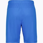 förhandsvisning ikon 2 för Puma teamGOAL Shorts  Blå