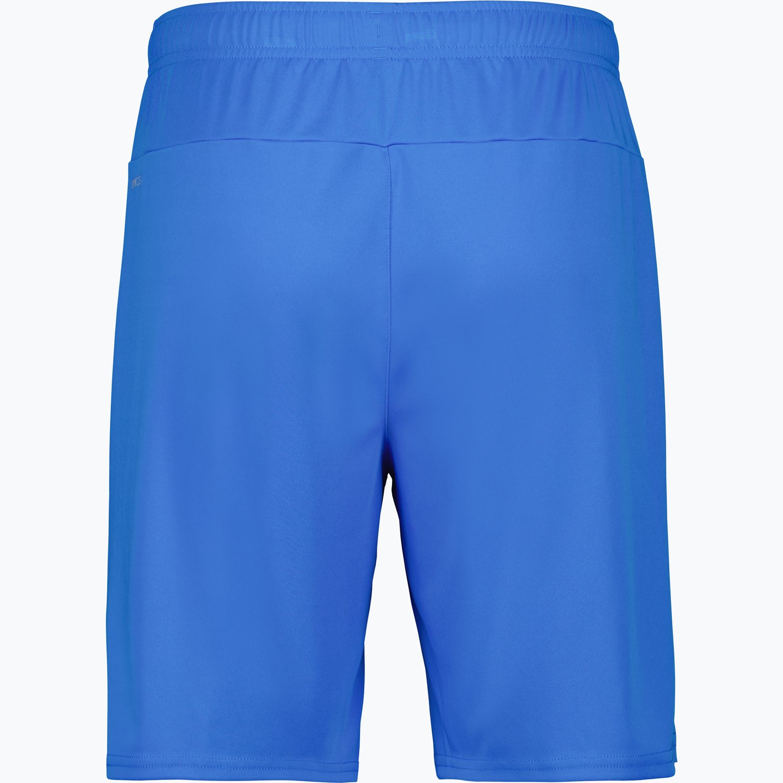 Puma teamGOAL Shorts  Blå