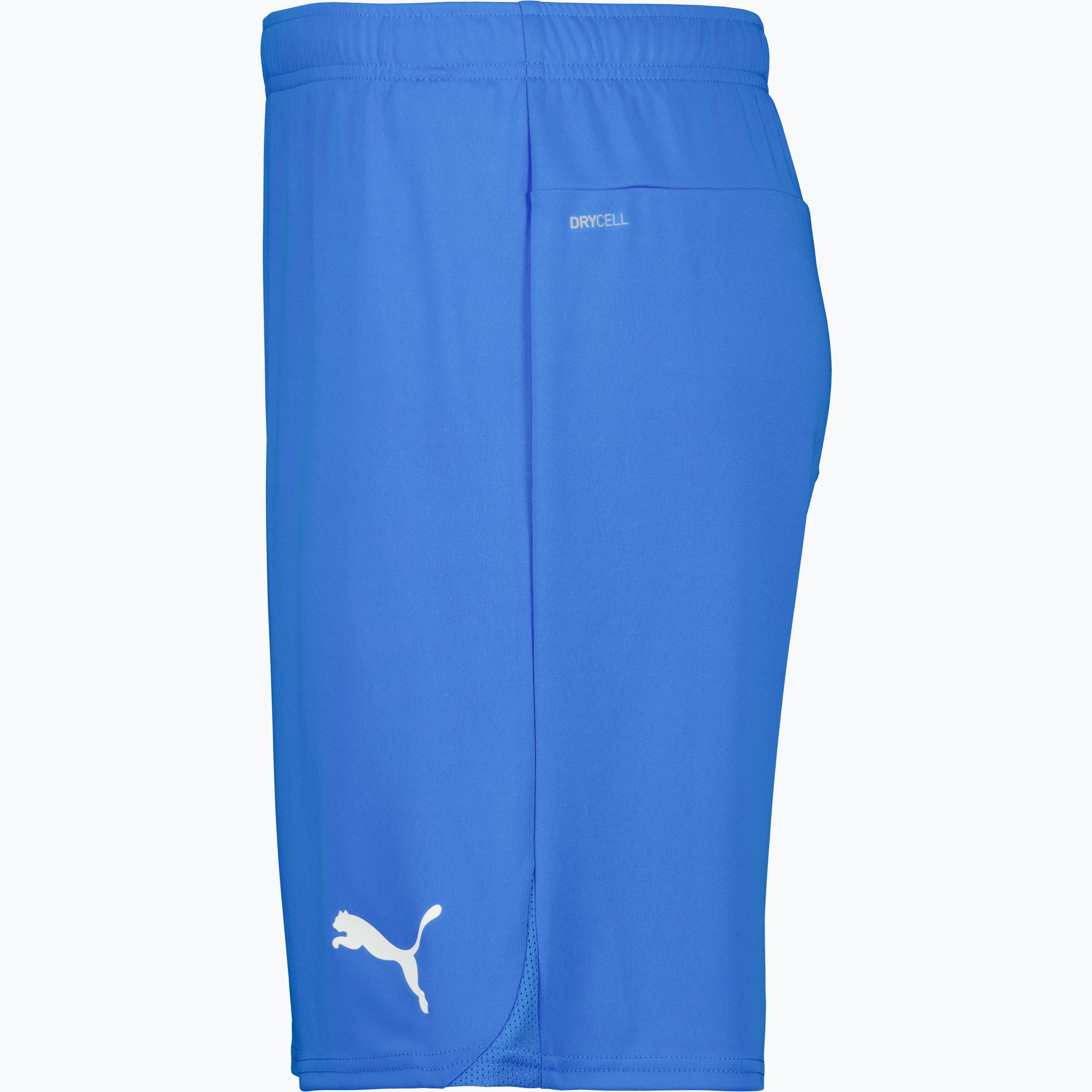 teamGOAL Shorts 