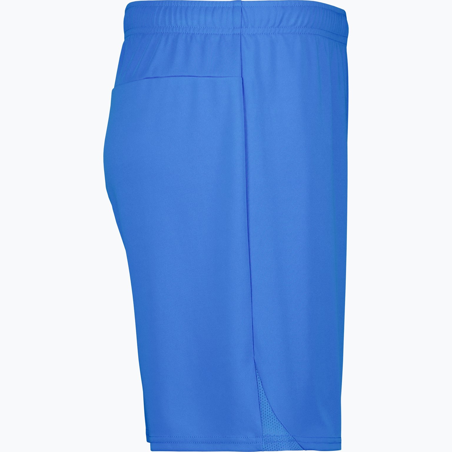 Puma teamGOAL Shorts  Blå