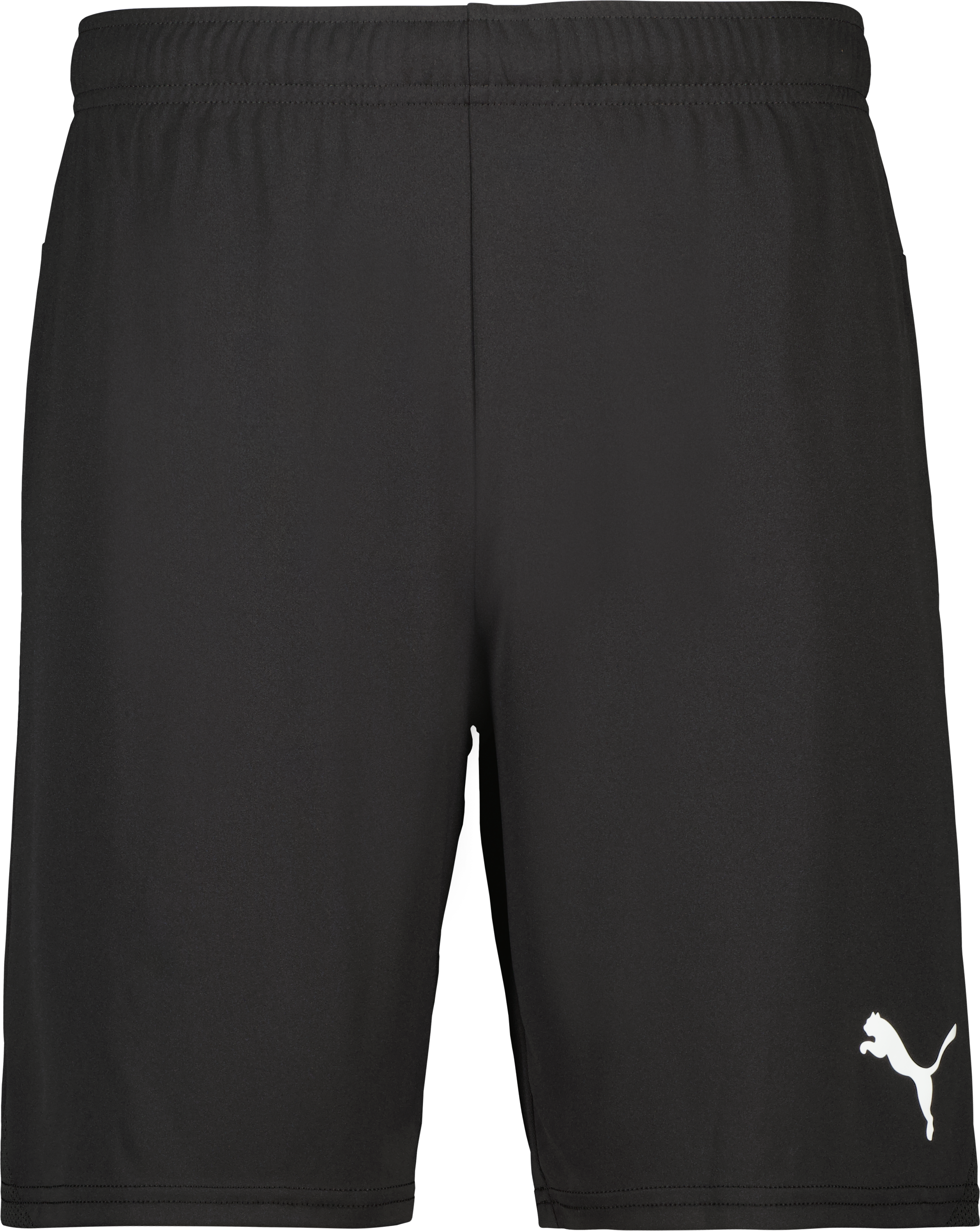 Puma teamGOAL Shorts 