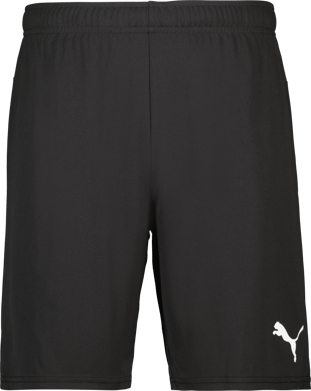 Puma teamGOAL Shorts 