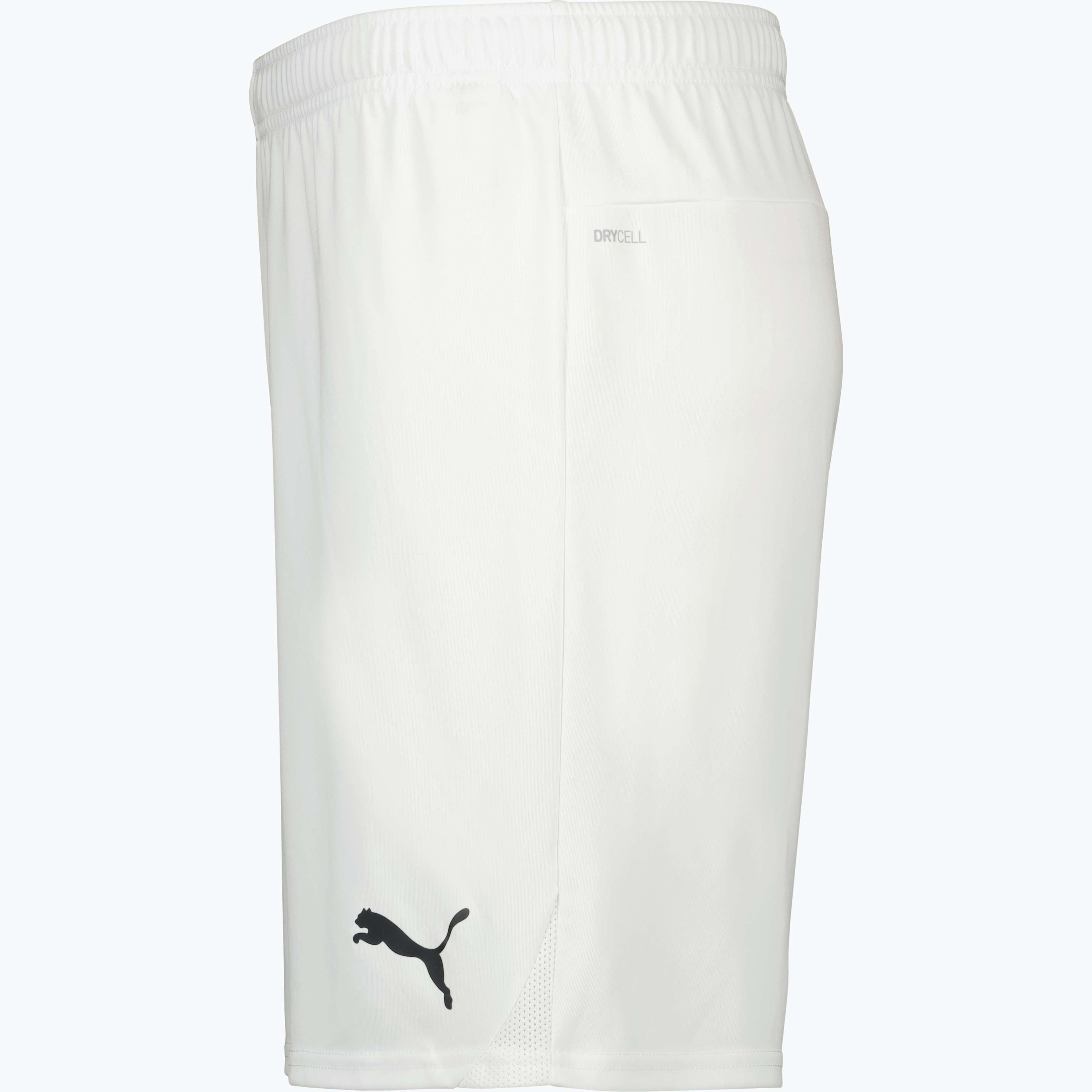 teamGOAL Shorts 
