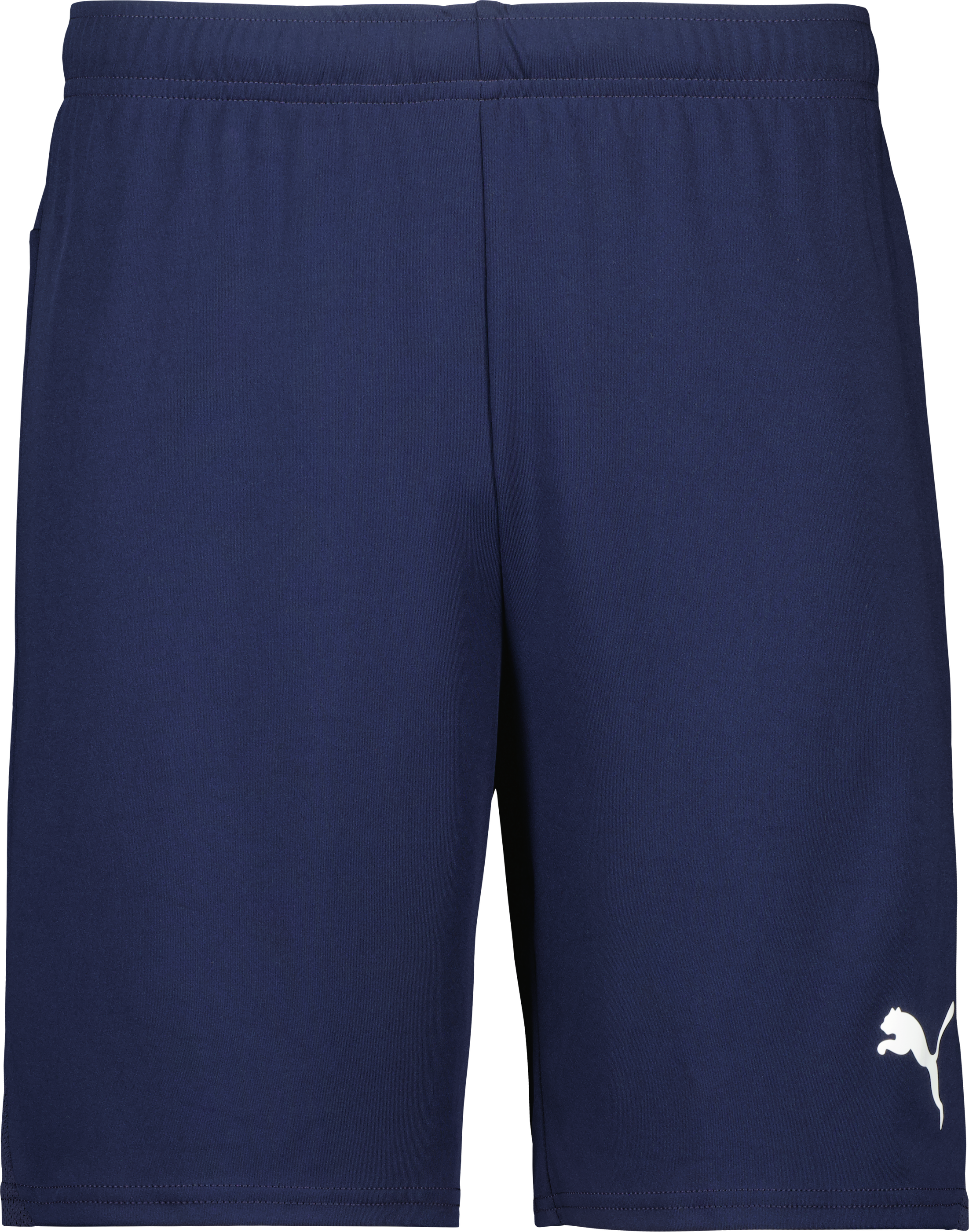 Puma teamGOAL Shorts 