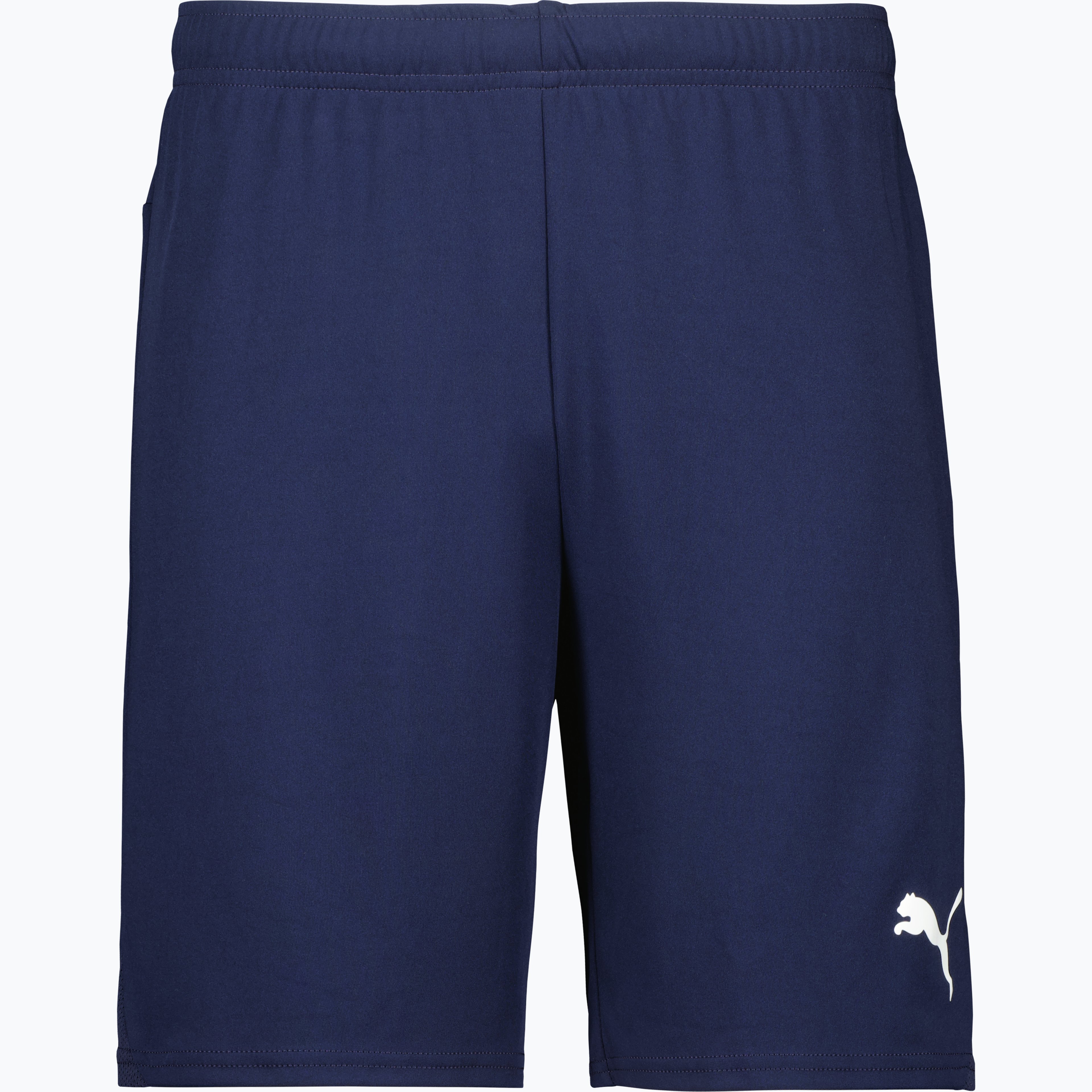 teamGOAL Shorts 