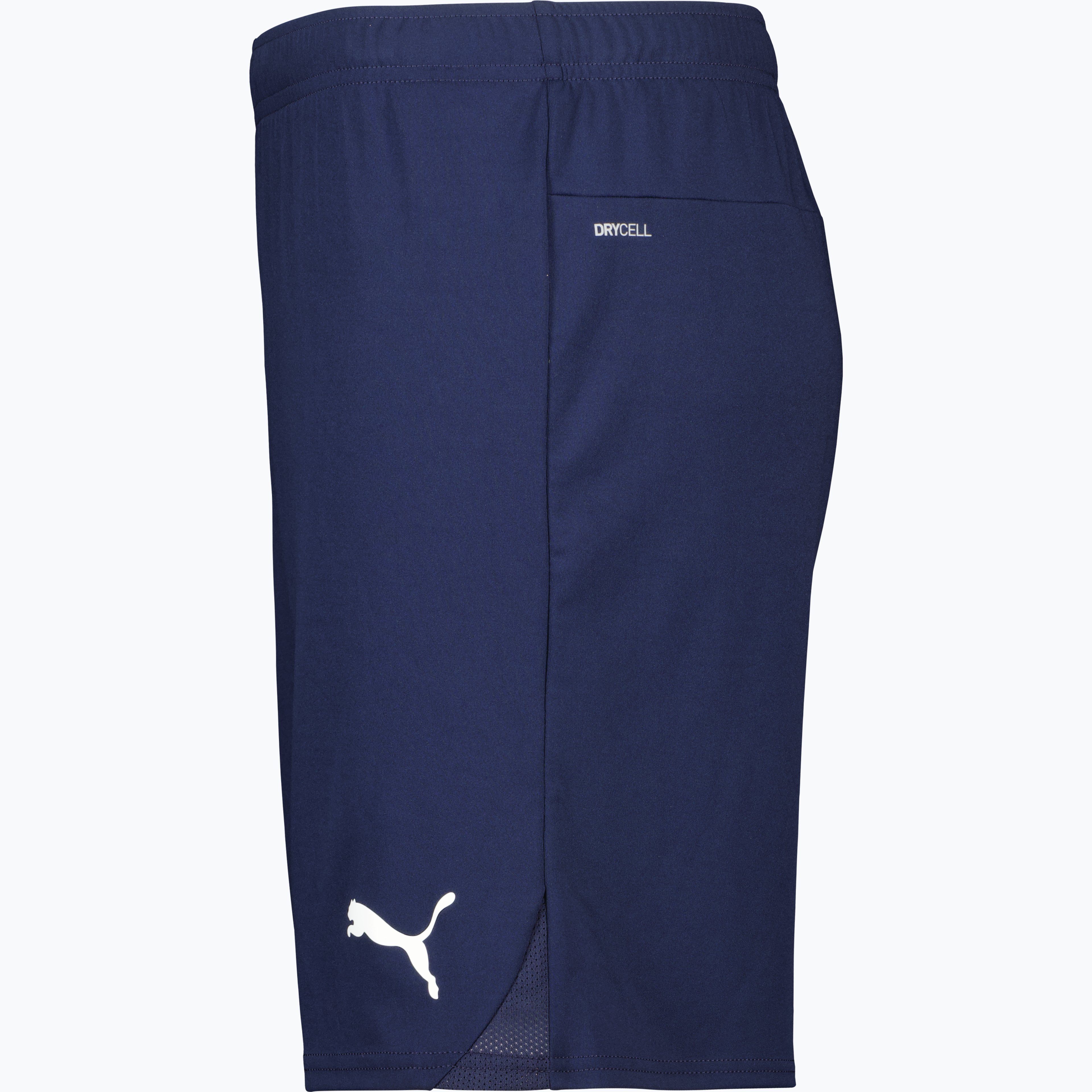 teamGOAL Shorts 