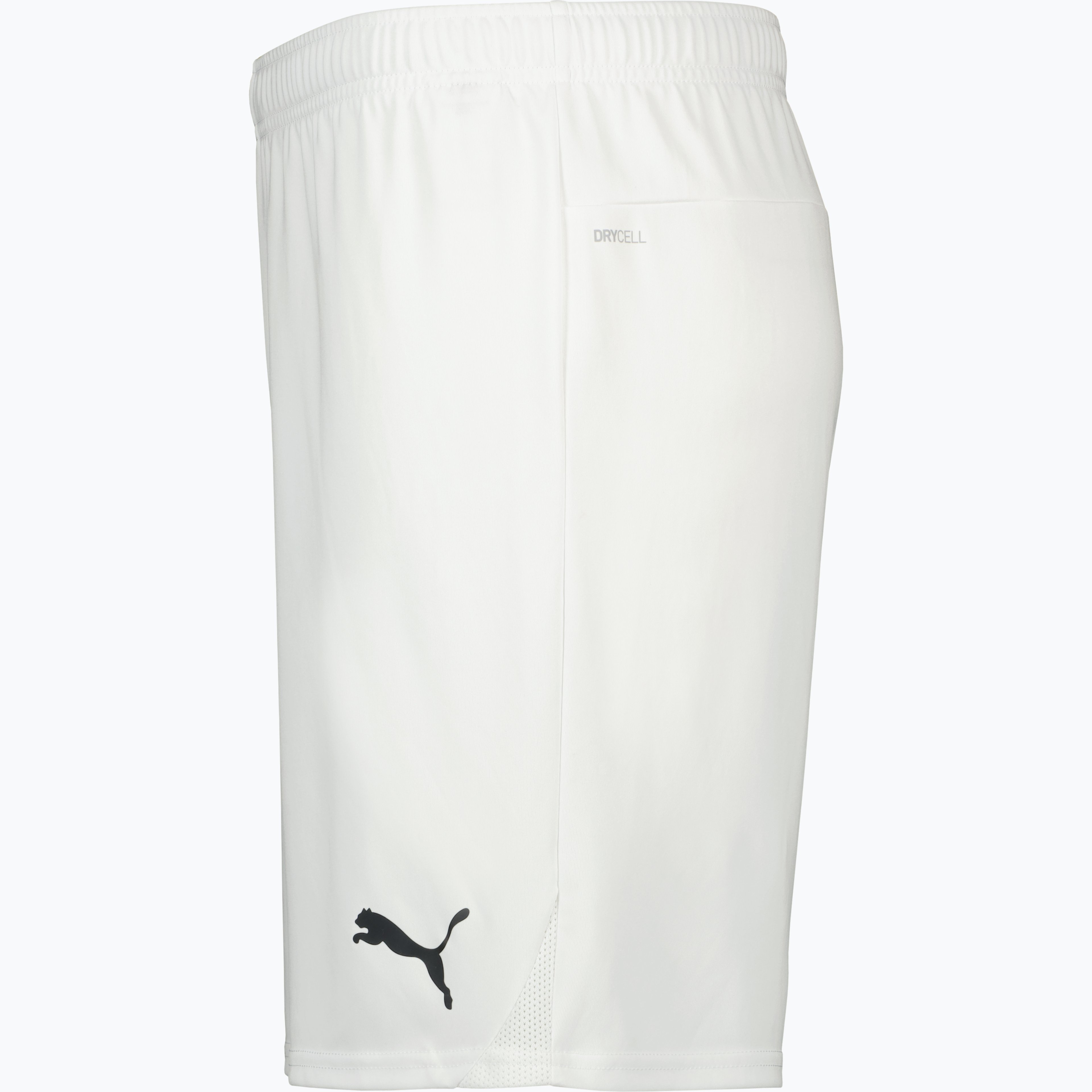 teamGOAL Shorts Jr 