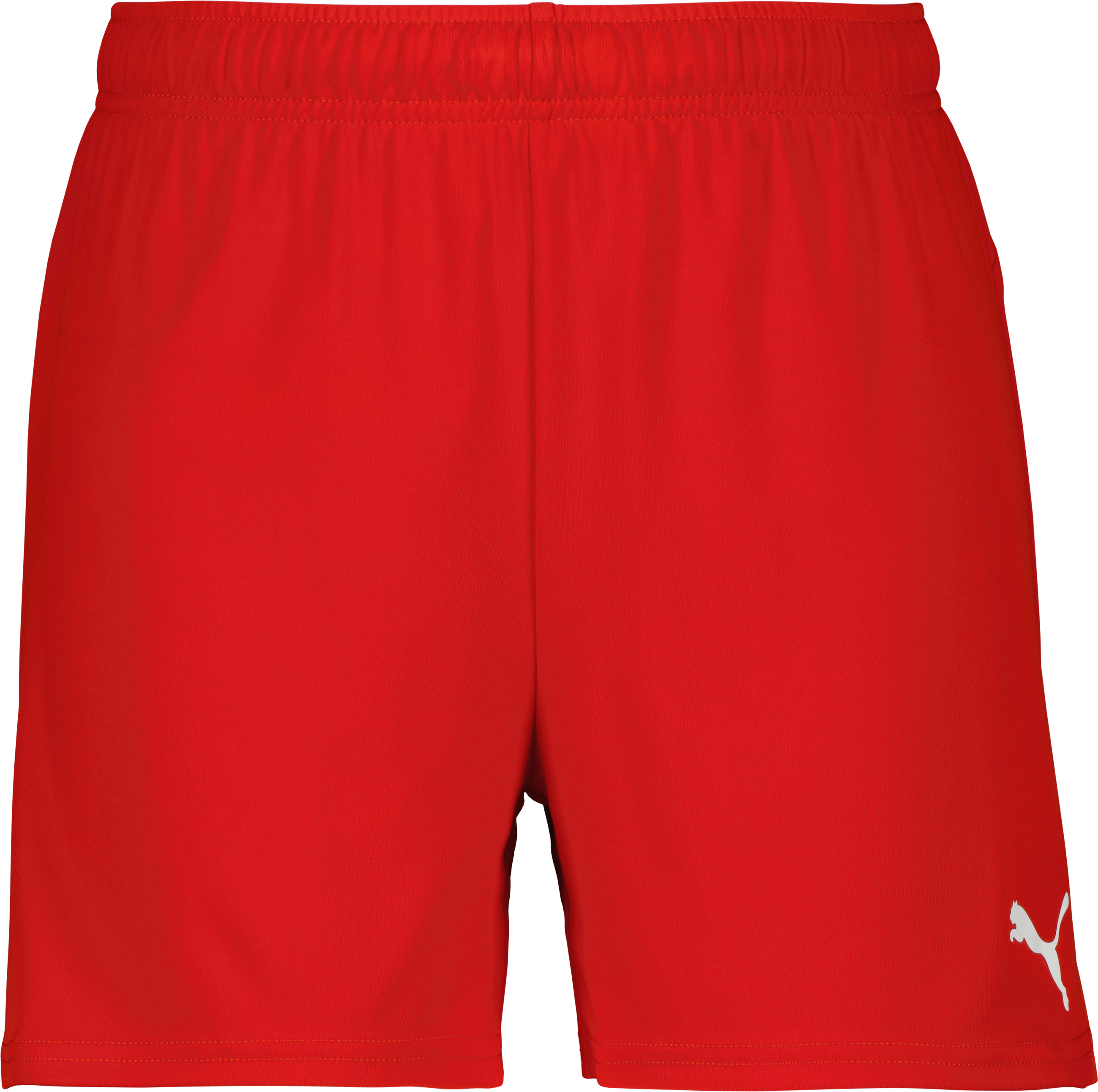 Puma teamGOAL Shorts W 