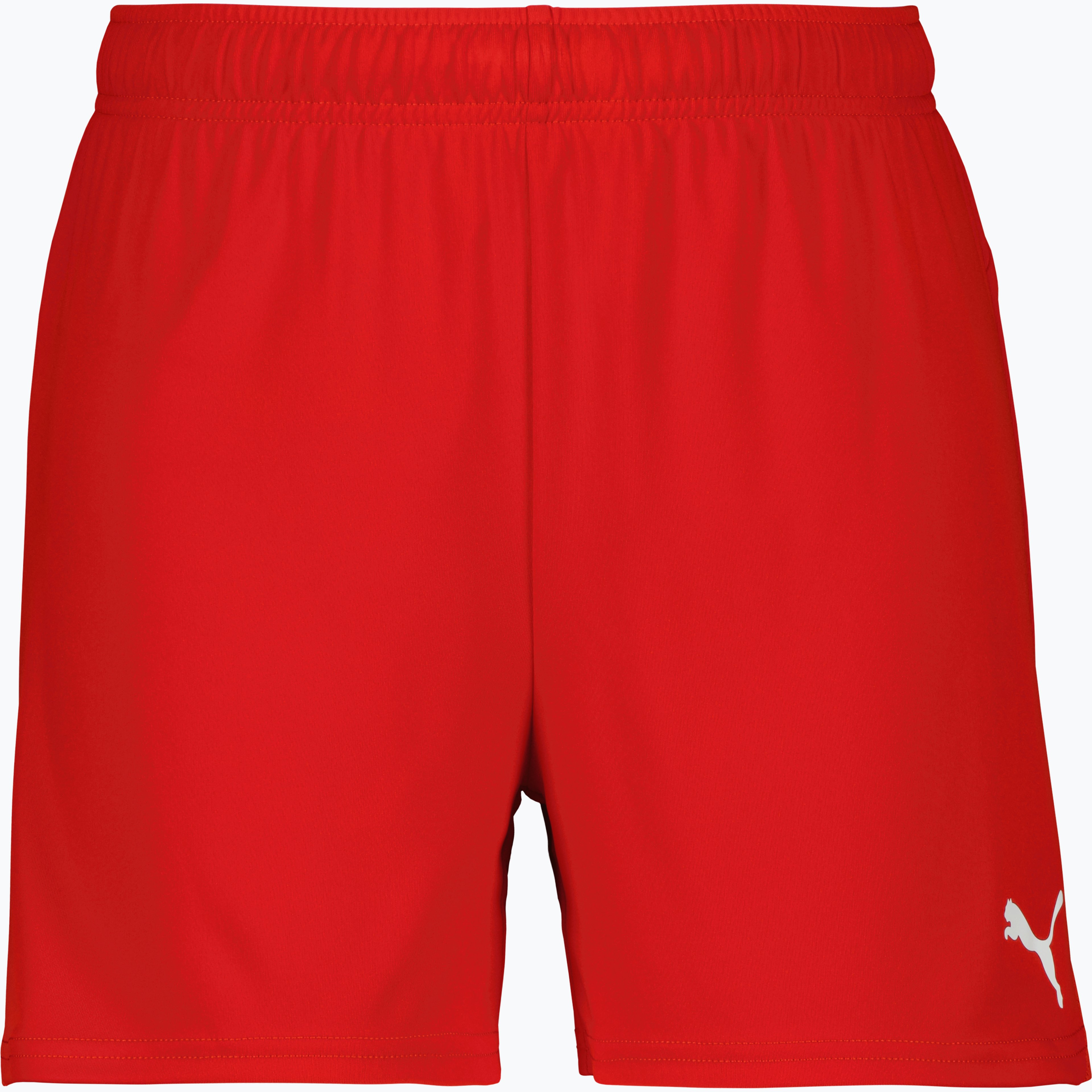 teamGOAL Shorts W 