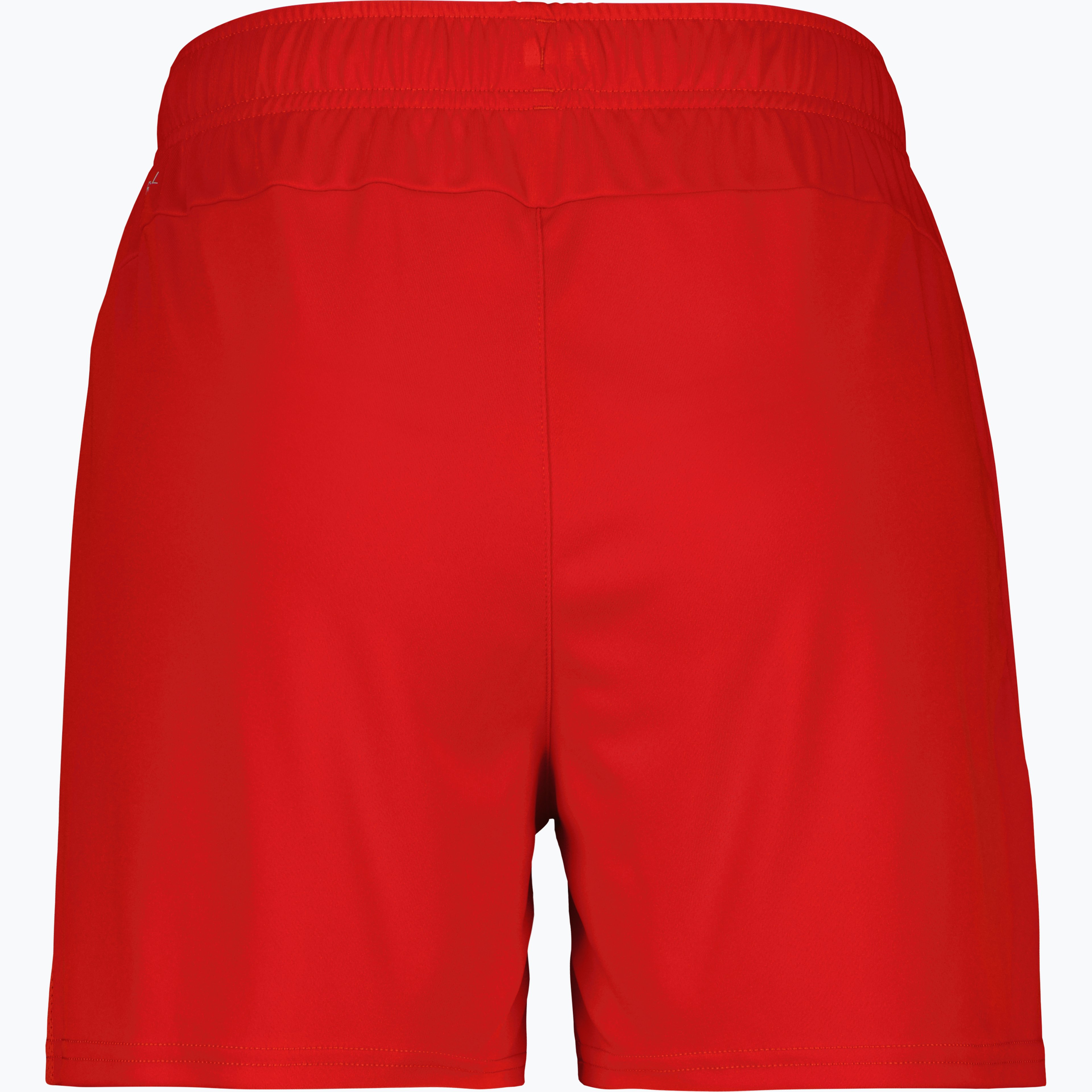 teamGOAL Shorts W 