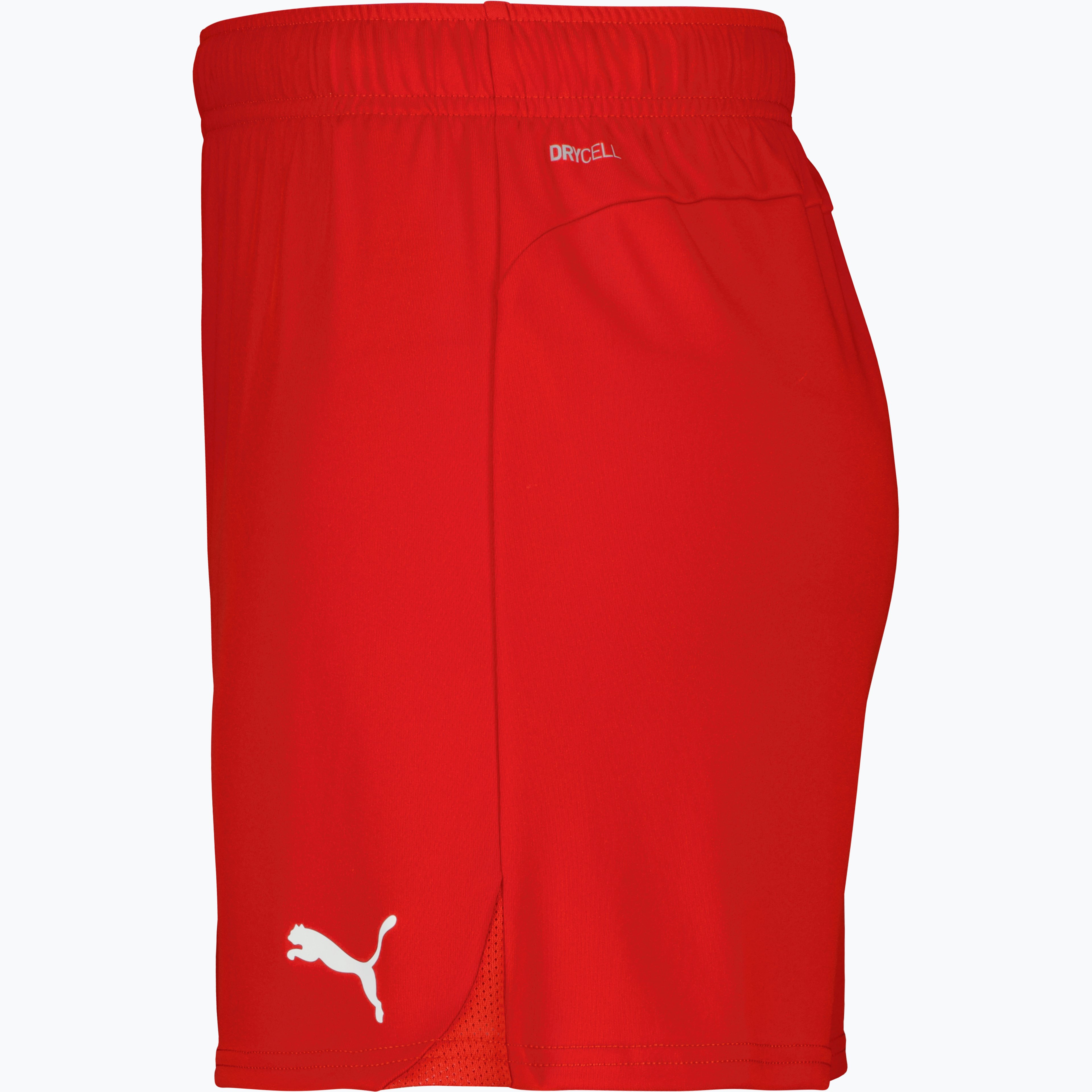 teamGOAL Shorts W 