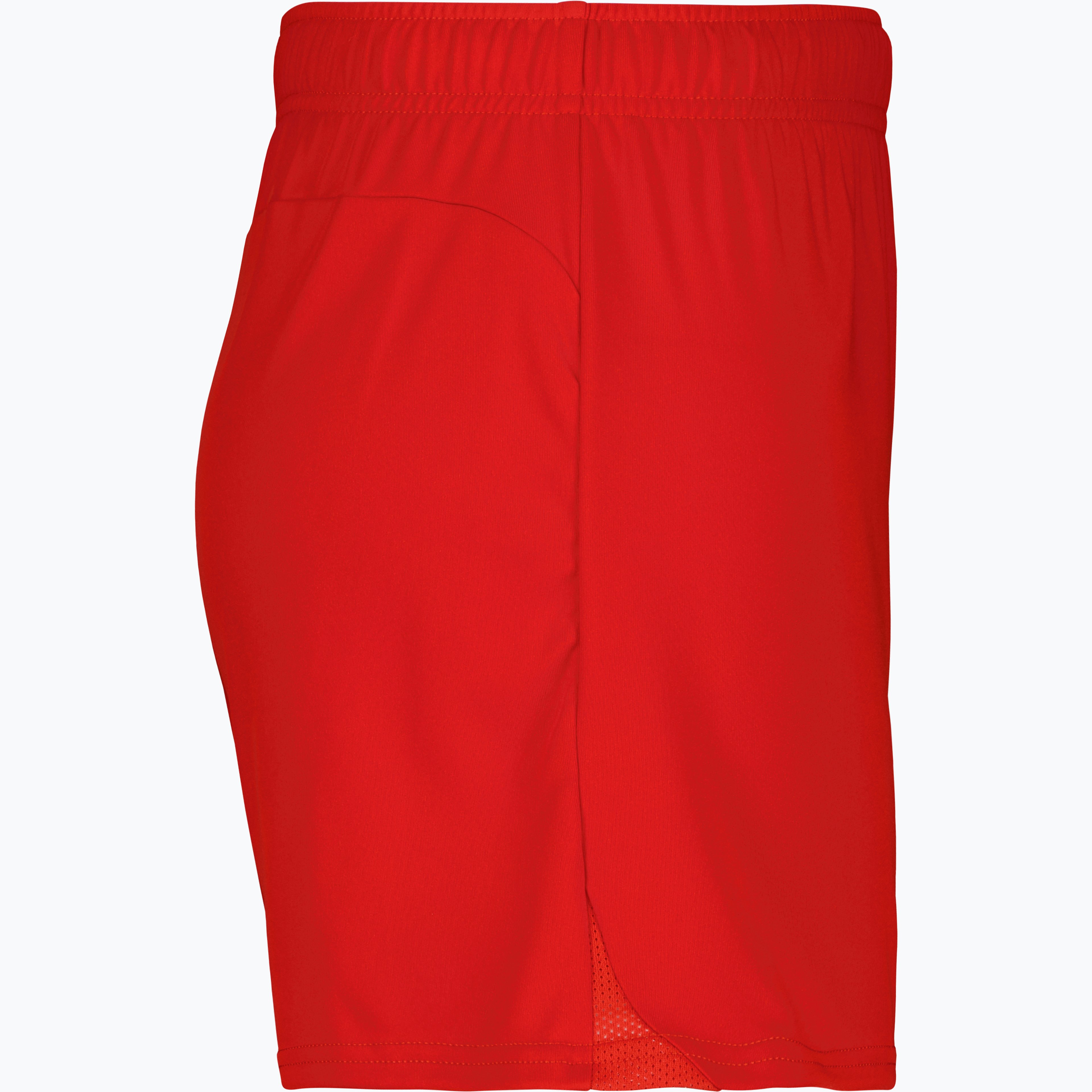 teamGOAL Shorts W 