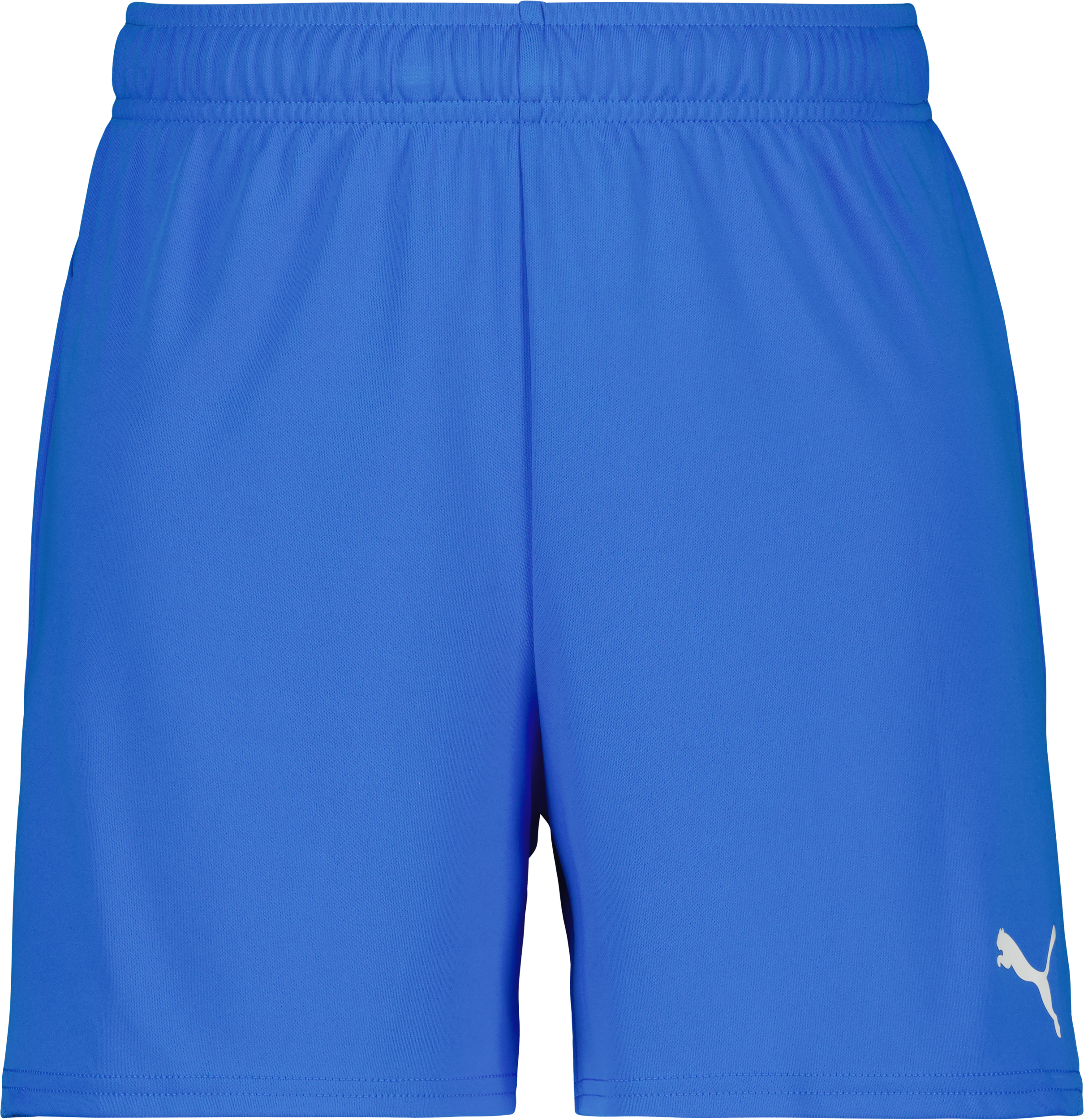 Puma teamGOAL Shorts W 