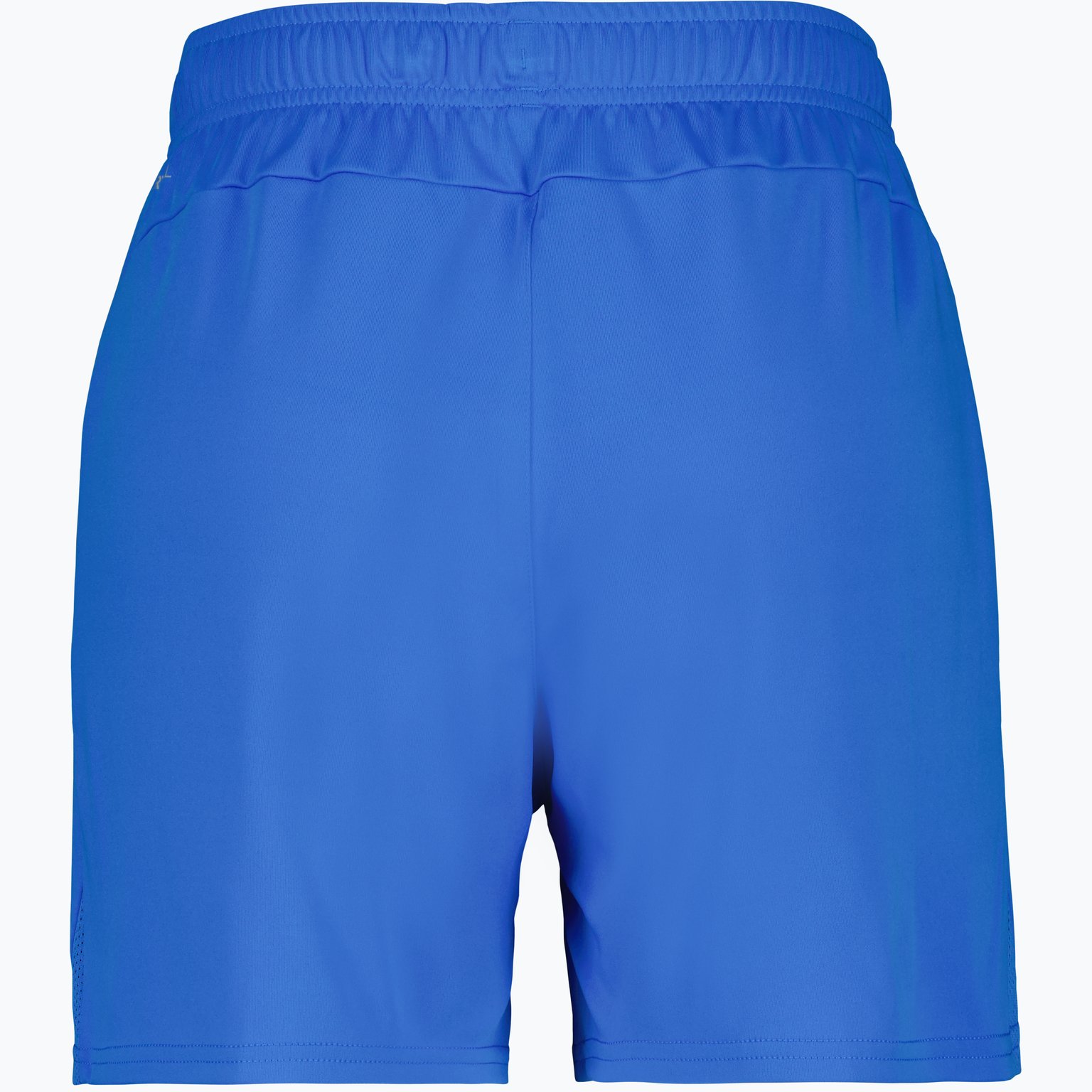 Puma teamGOAL Shorts W  Blå