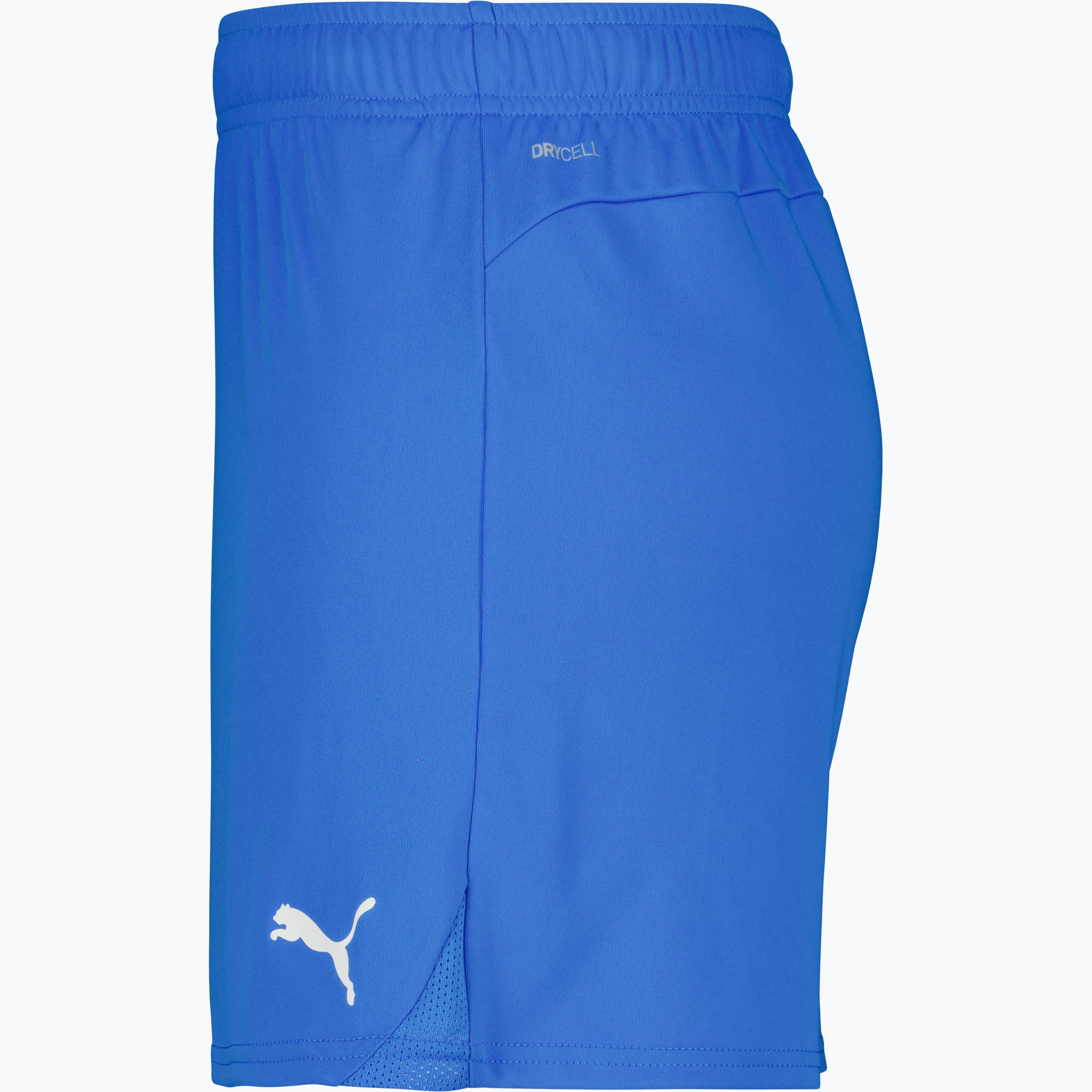 teamGOAL Shorts W 