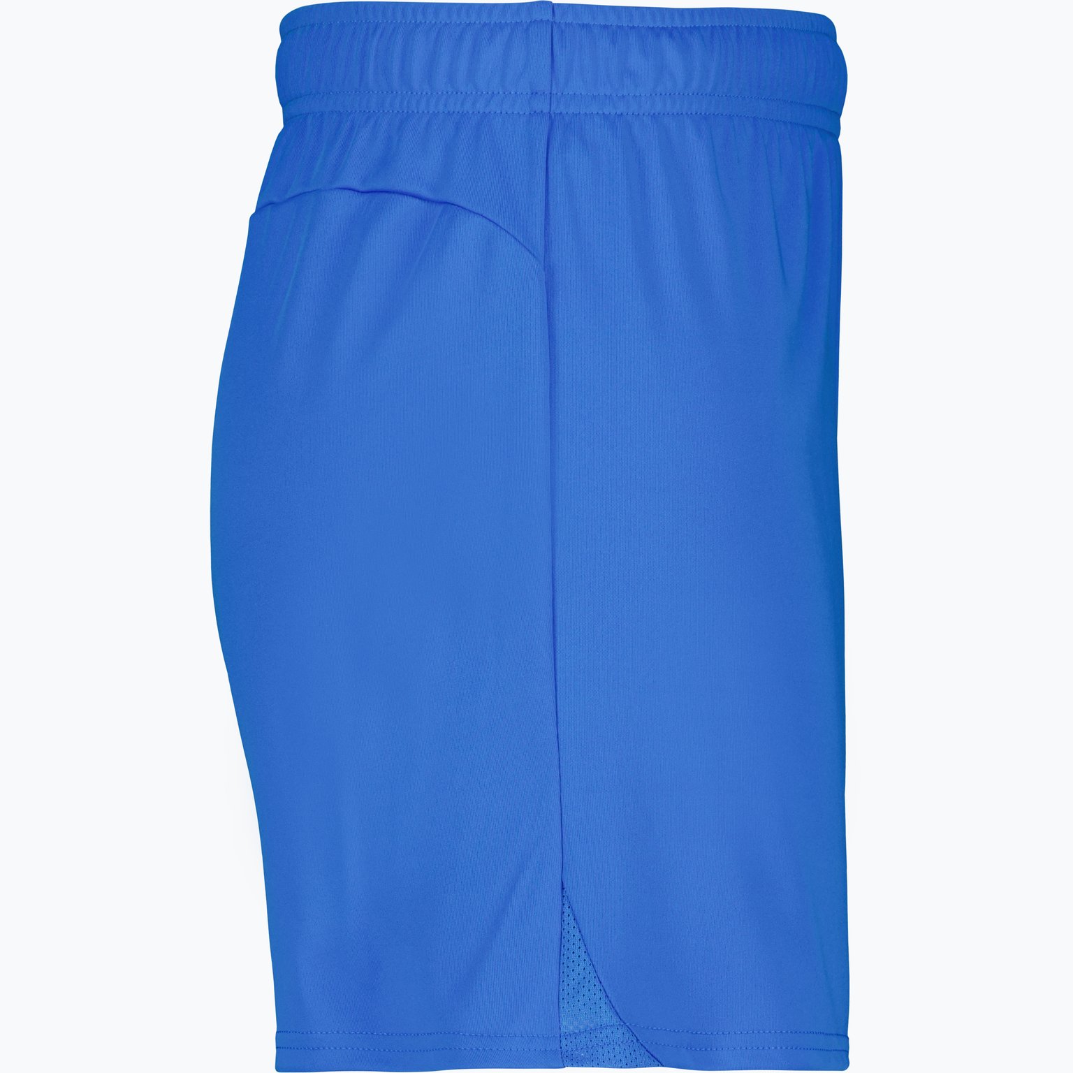 Puma teamGOAL Shorts W  Blå