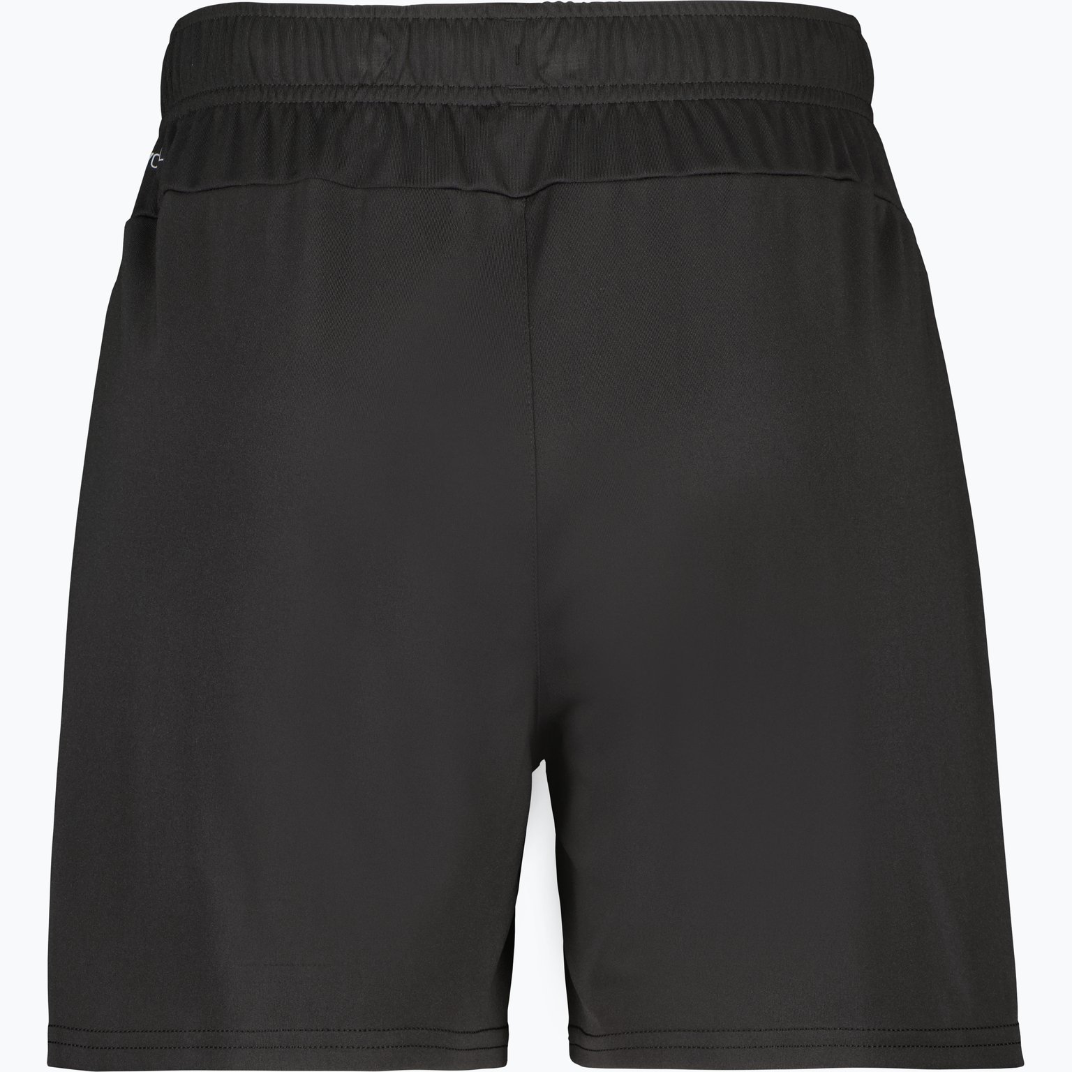 Puma teamGOAL Shorts W  Svart