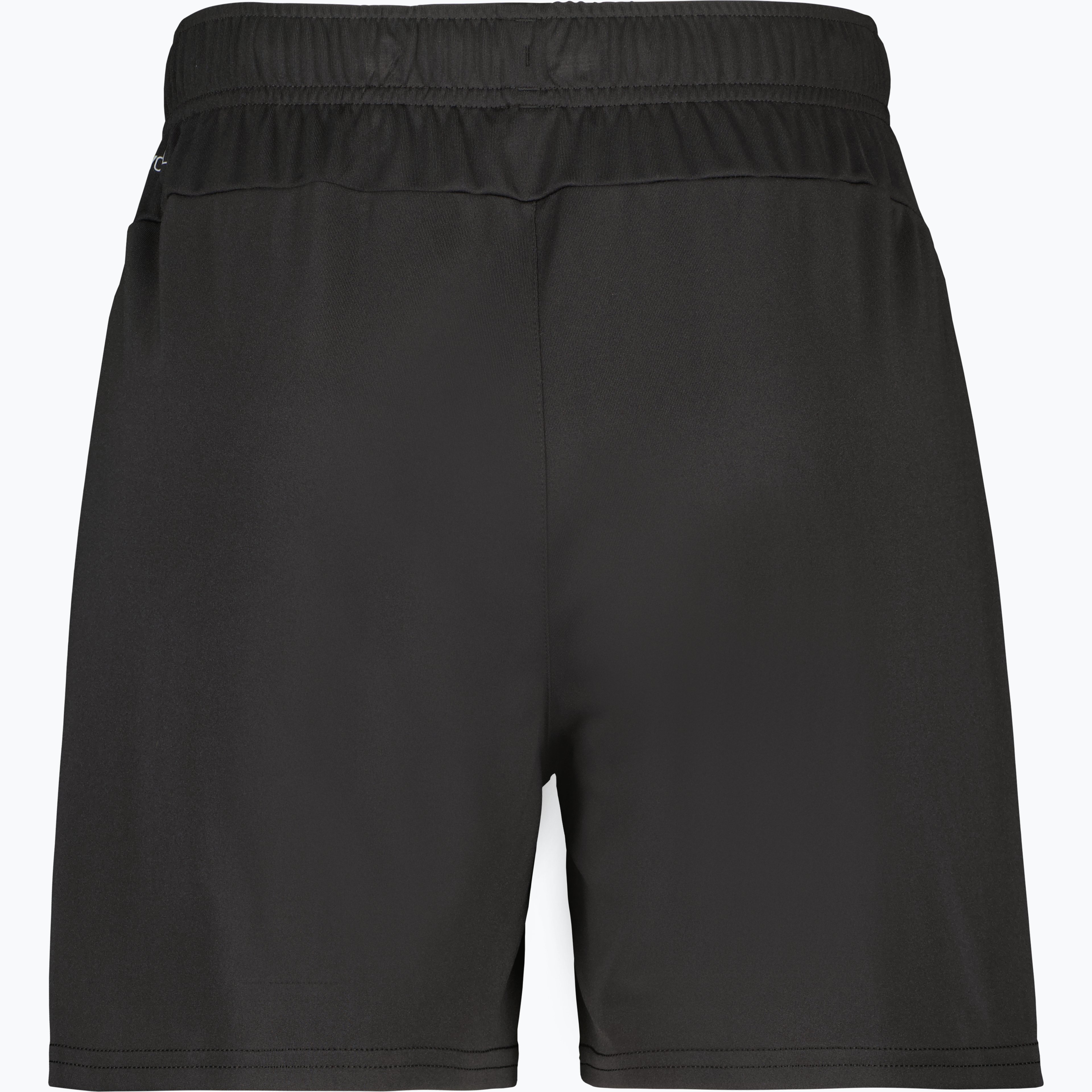 teamGOAL Shorts W 