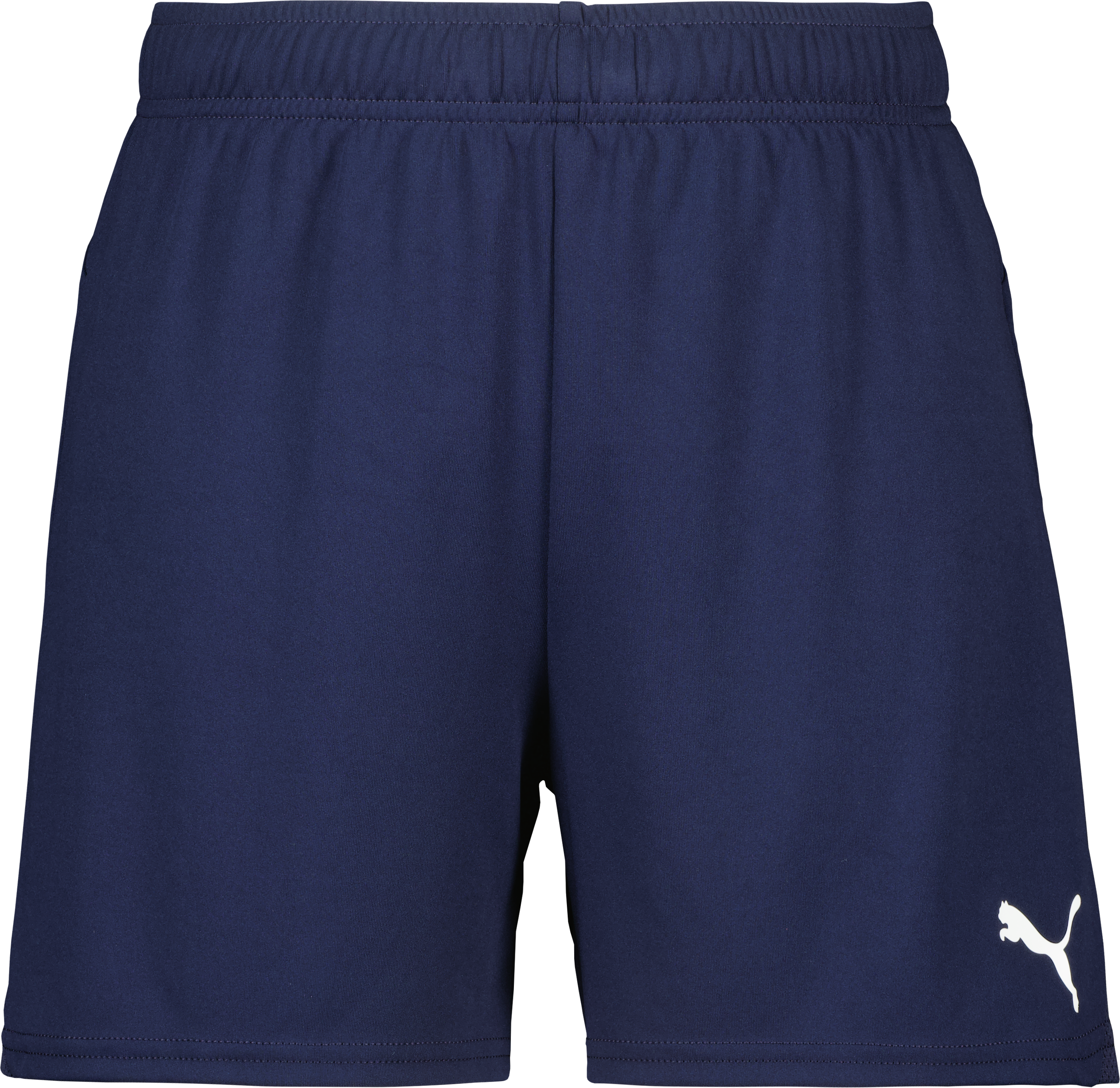 Puma teamGOAL Shorts W 