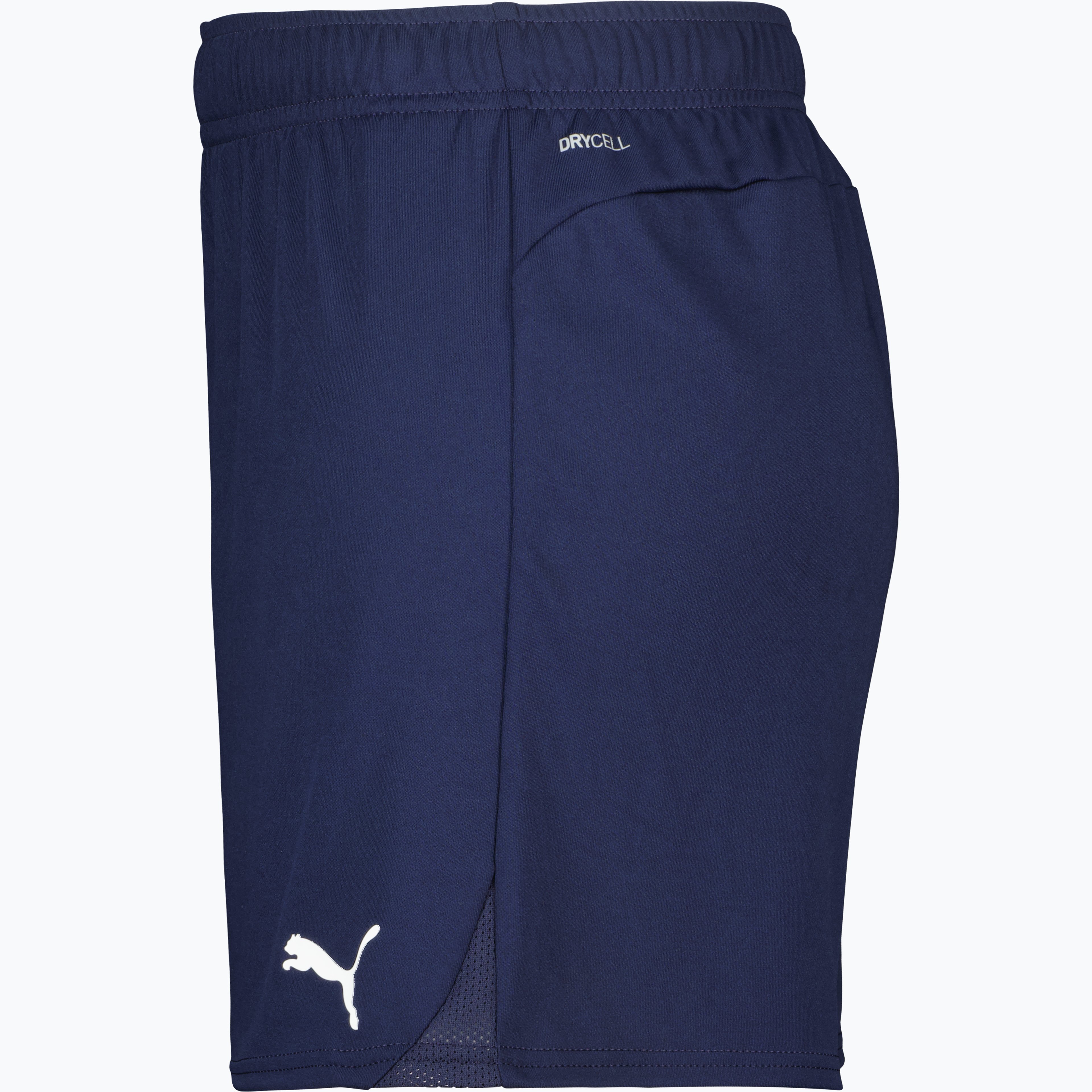 teamGOAL Shorts W 