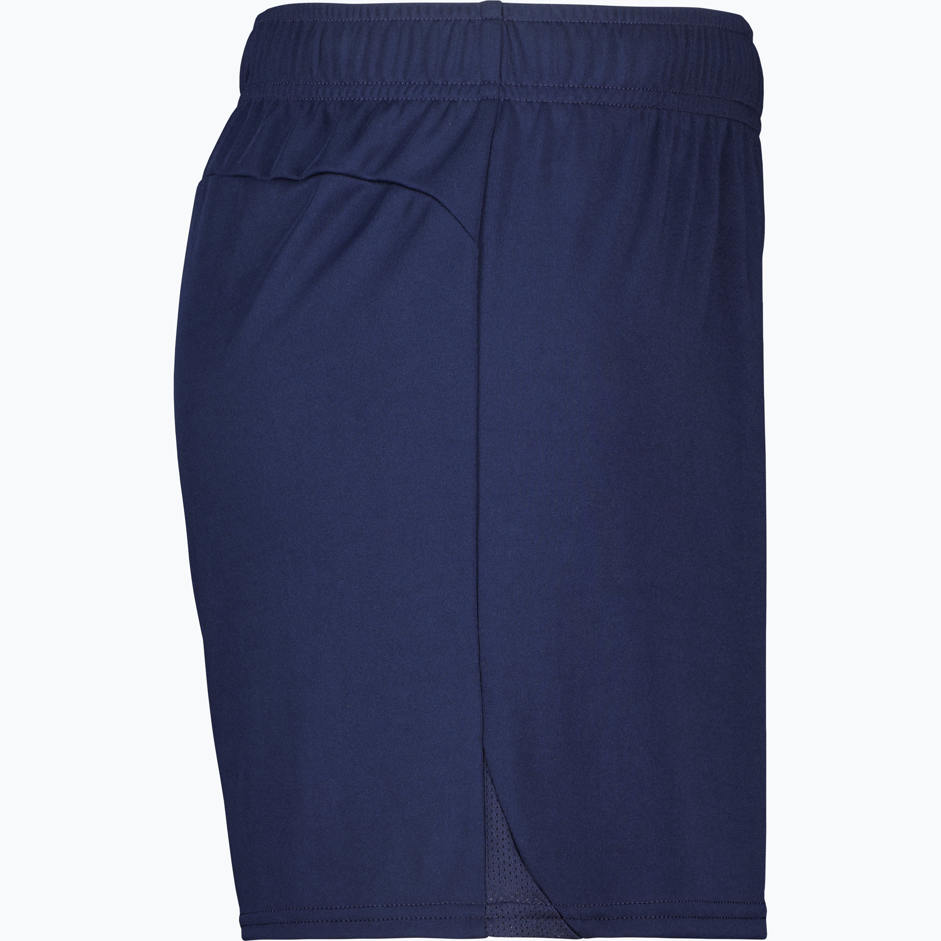 teamGOAL Shorts W 