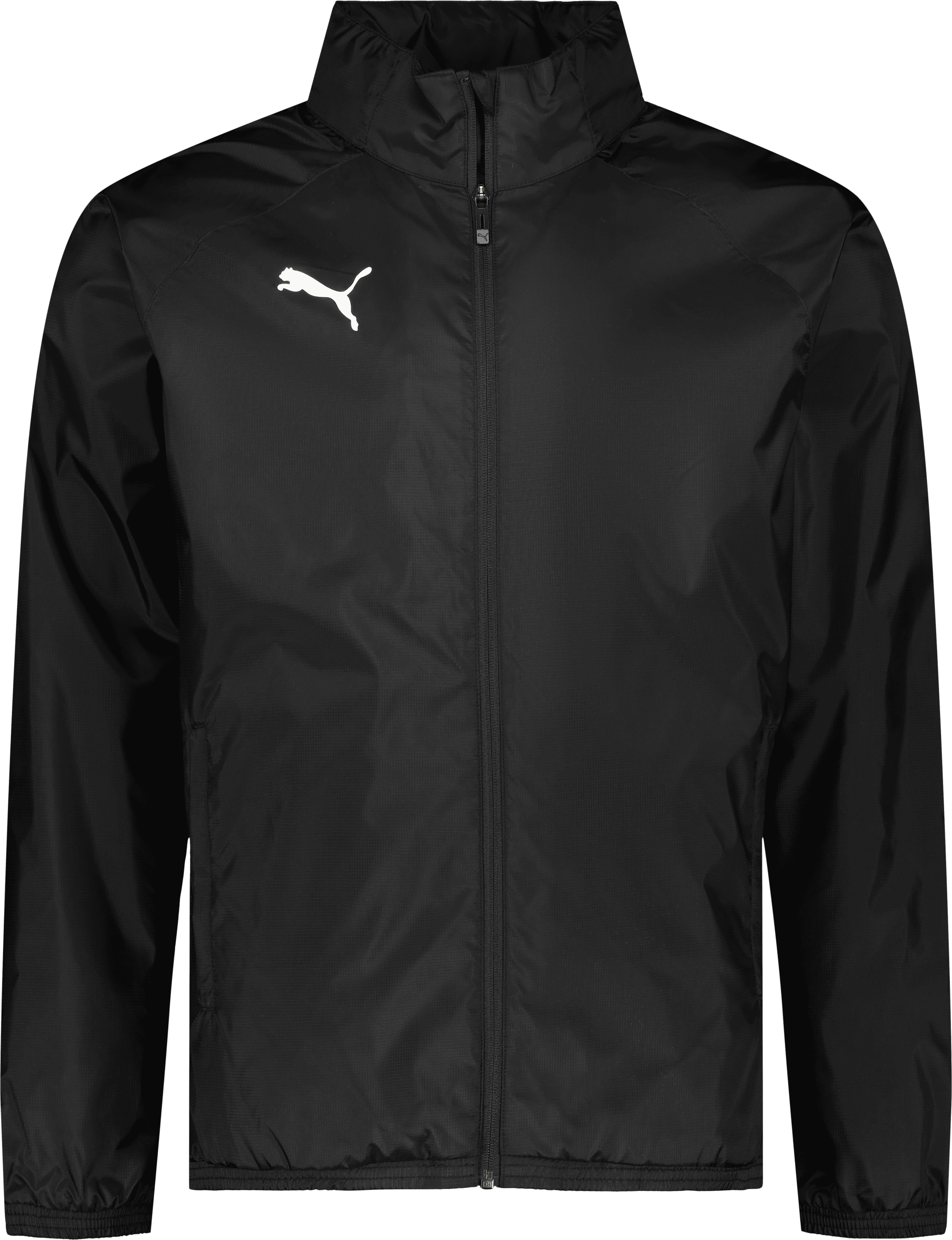 Puma teamGOAL All Weather Jacket Jr 