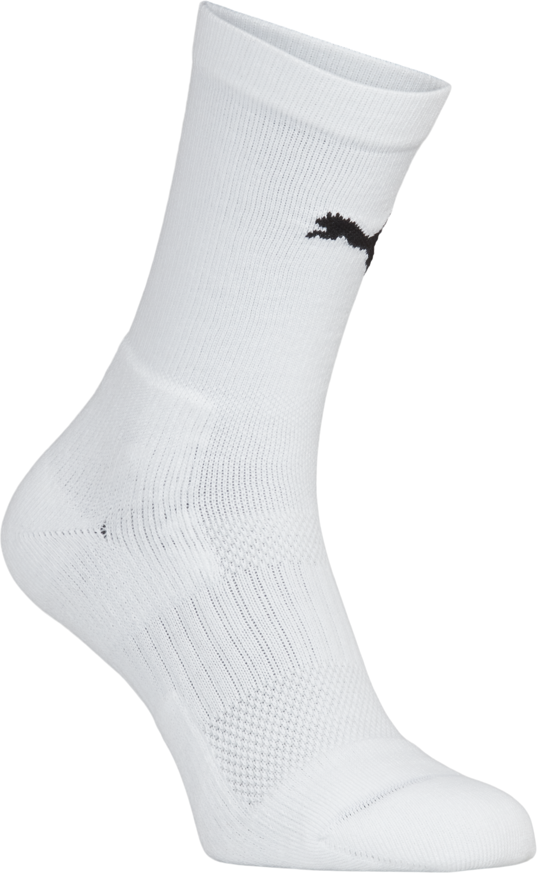 Puma teamGOAL Performance Sock 