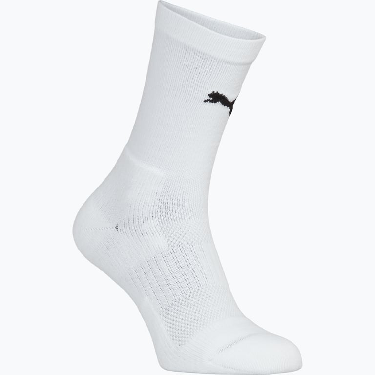 Puma teamGOAL Performance Sock  Vit