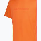 förhandsvisning ikon 3 för Peak Performance Big Logo M t-shirt Orange