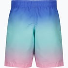 förhandsvisning ikon 2 för Firefly Beach JR badshorts Flerfärgad