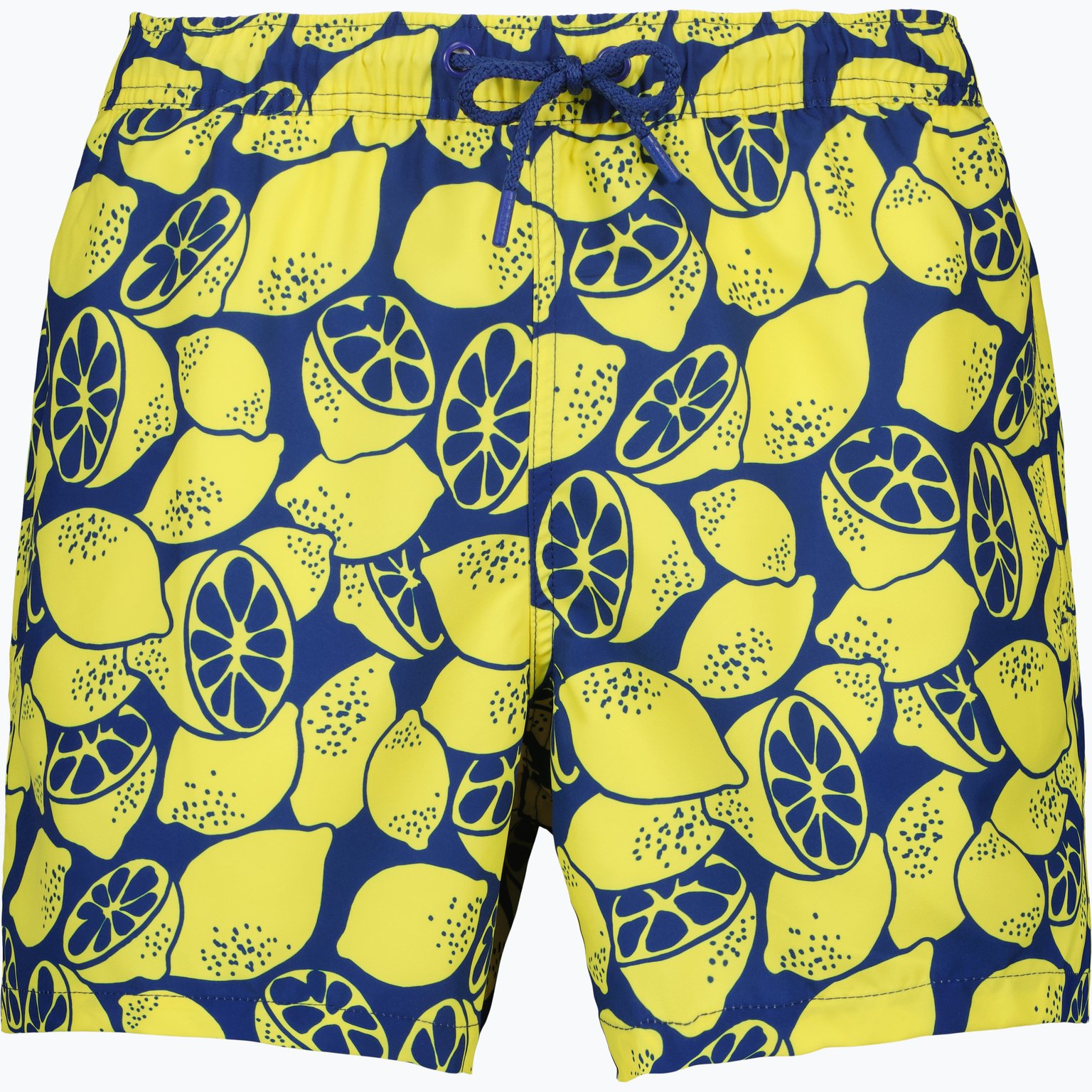 Björn Borg Borg Print M badshorts Flerfärgad