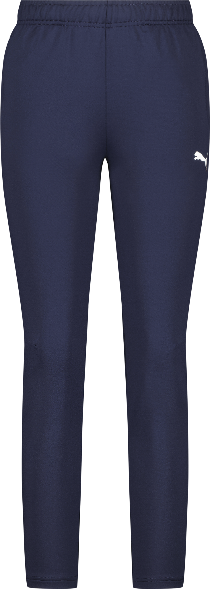 Puma teamGOAL PRO Training Pants W