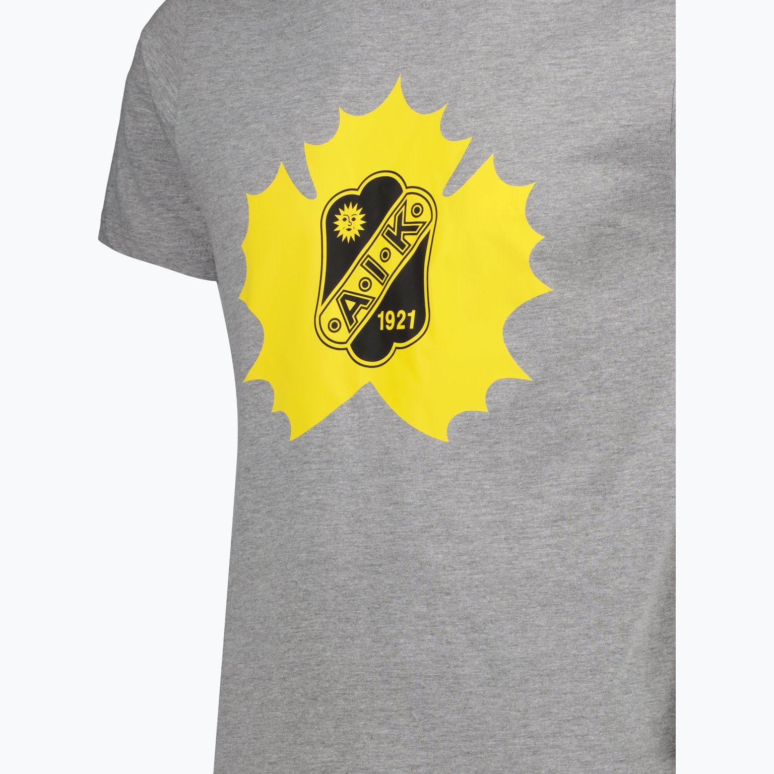 Skellefteå AIK Classic t-shirt Grå