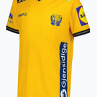 förhandsvisning ikon 3 för Craft Sweden Handball Replica jr matchtröja Gul