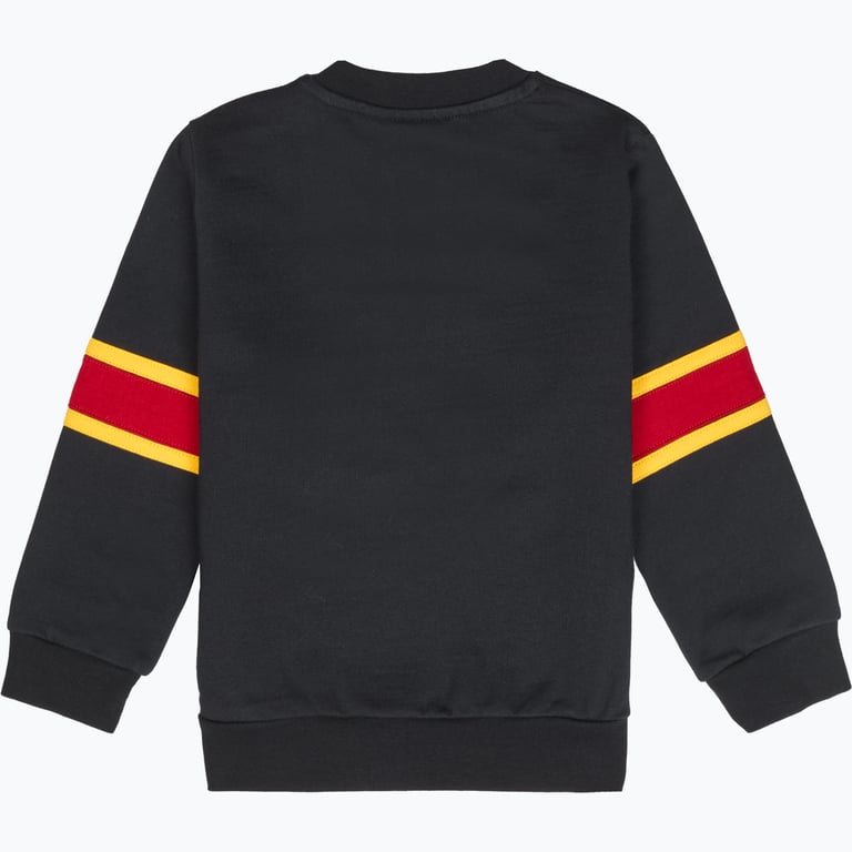 Brynäs IF Mr sweatshirt Svart