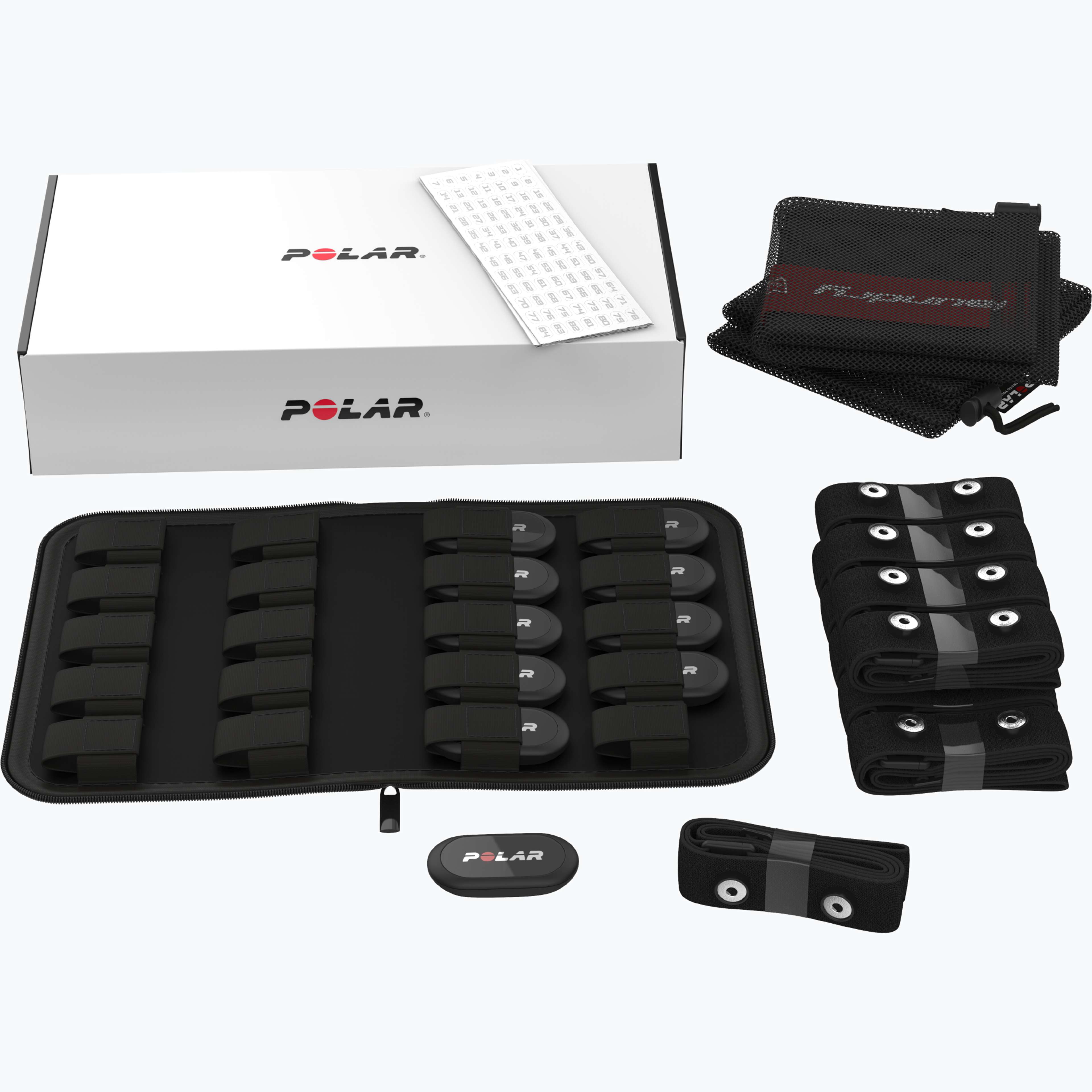 Polar H10 10-pack pulsmätare