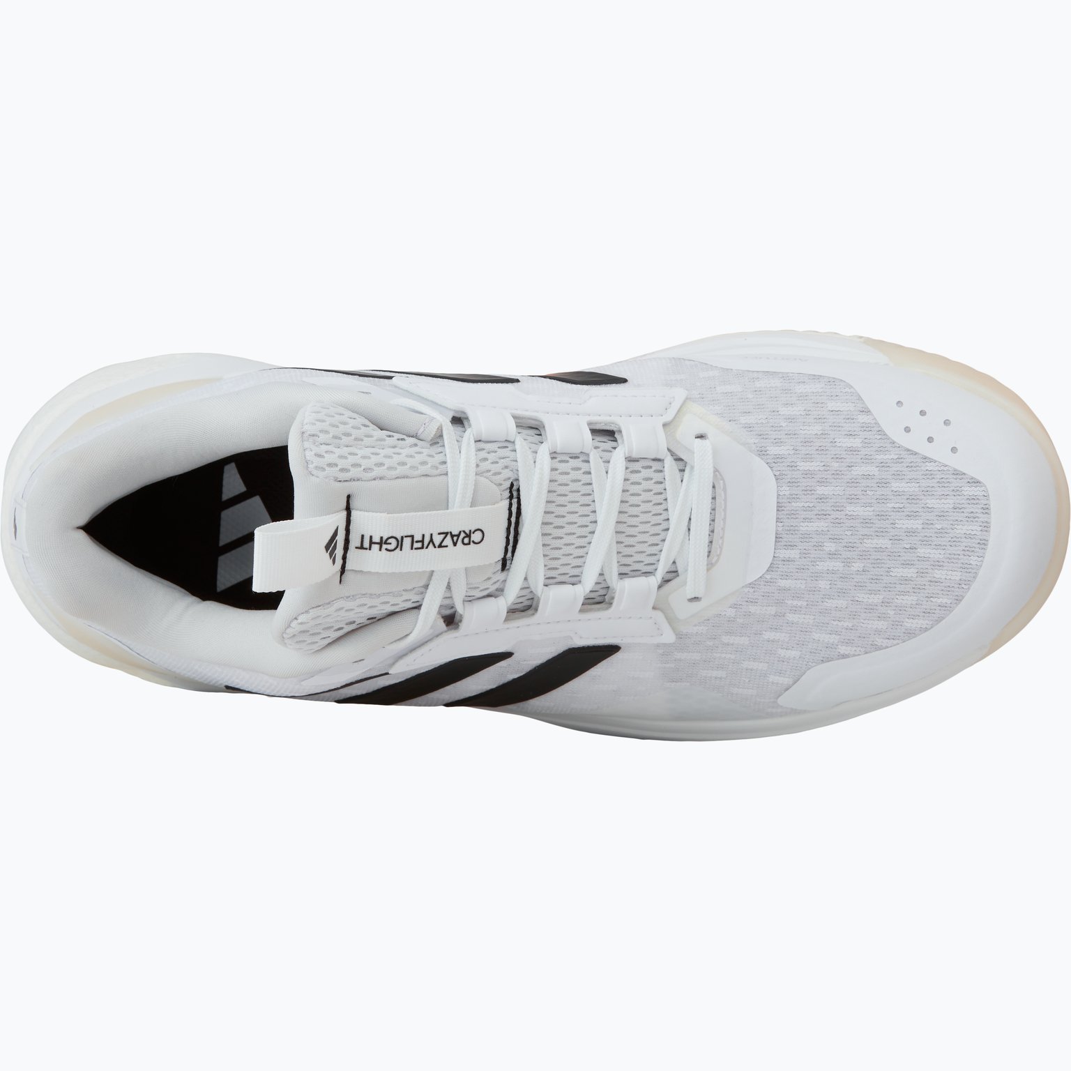 adidas Crazyflight 5 M inomhusskor Vit