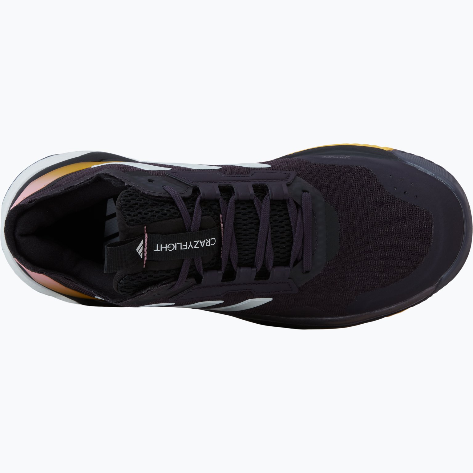 adidas Crazyflight 5 W inomusskor Svart