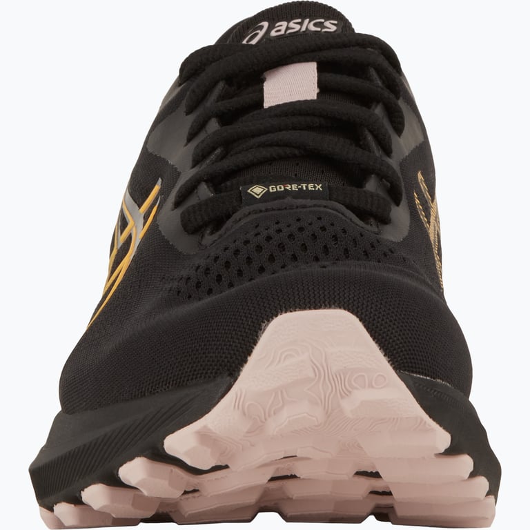 Asics GT-1000 13 Gore-Tex W löparskor Svart