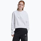 förhandsvisning ikon 1 för adidas Ice Crew JR tröja Vit