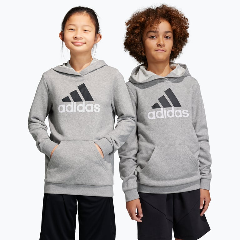 adidas Essentials Big Logo 2 JR huvtröja Grå