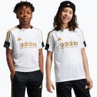 färgalternativ för Vit adidas Tiro Nations Pack JR träningströja