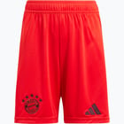 förhandsvisning ikon 1 för adidas Bayern München Home 24/25 JR träningsshorts Röd